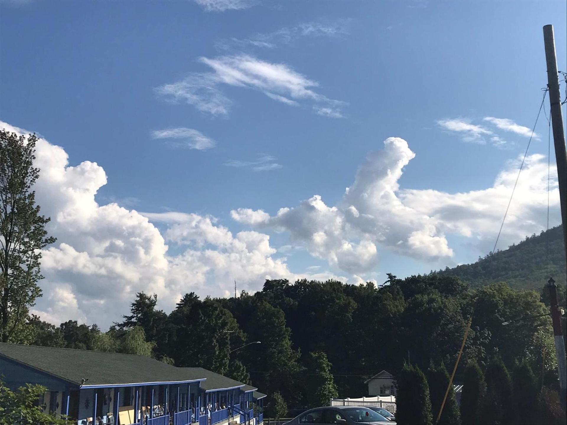 Hillside Motel photo 52