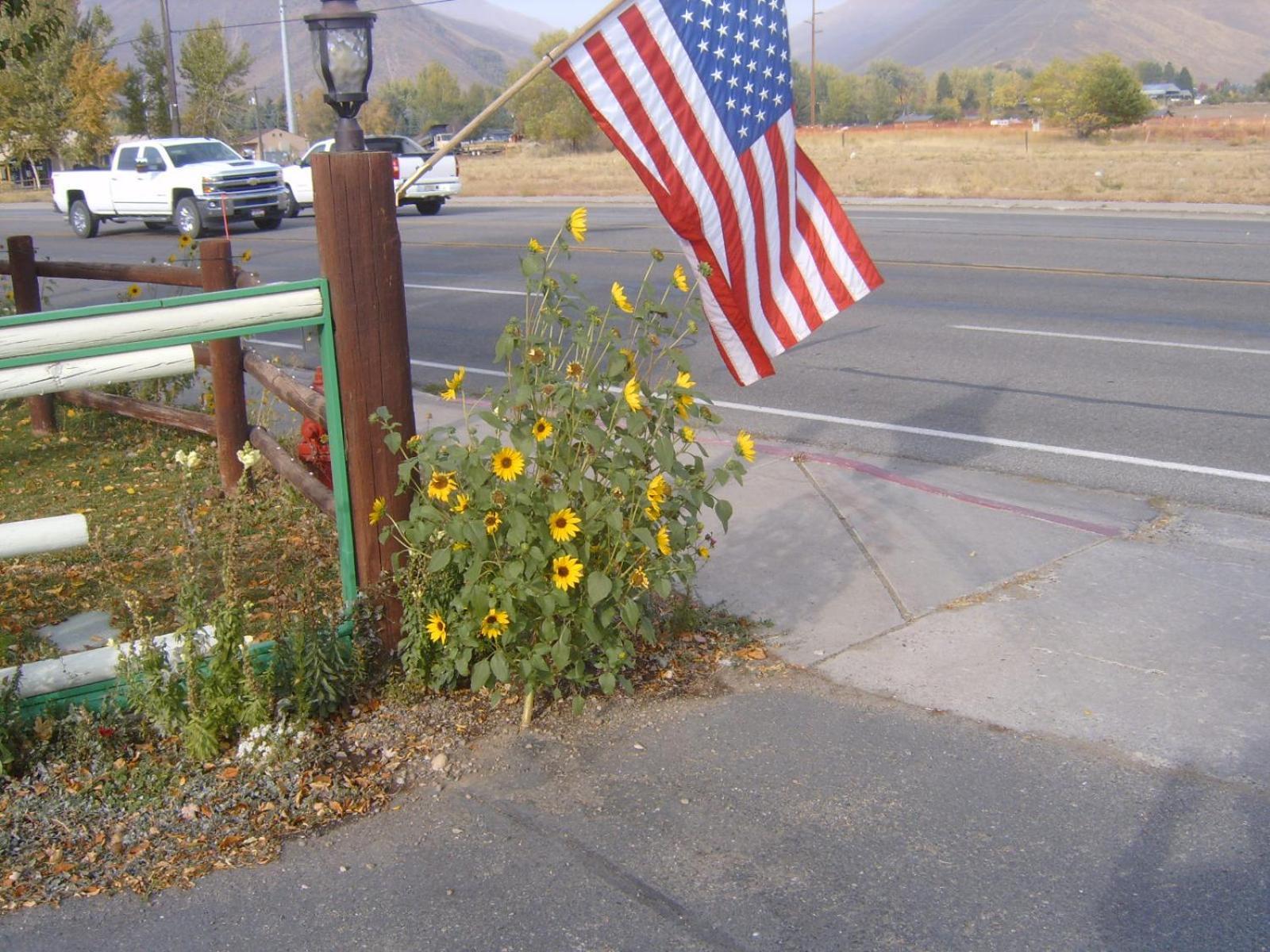 High Country Motel photo 22