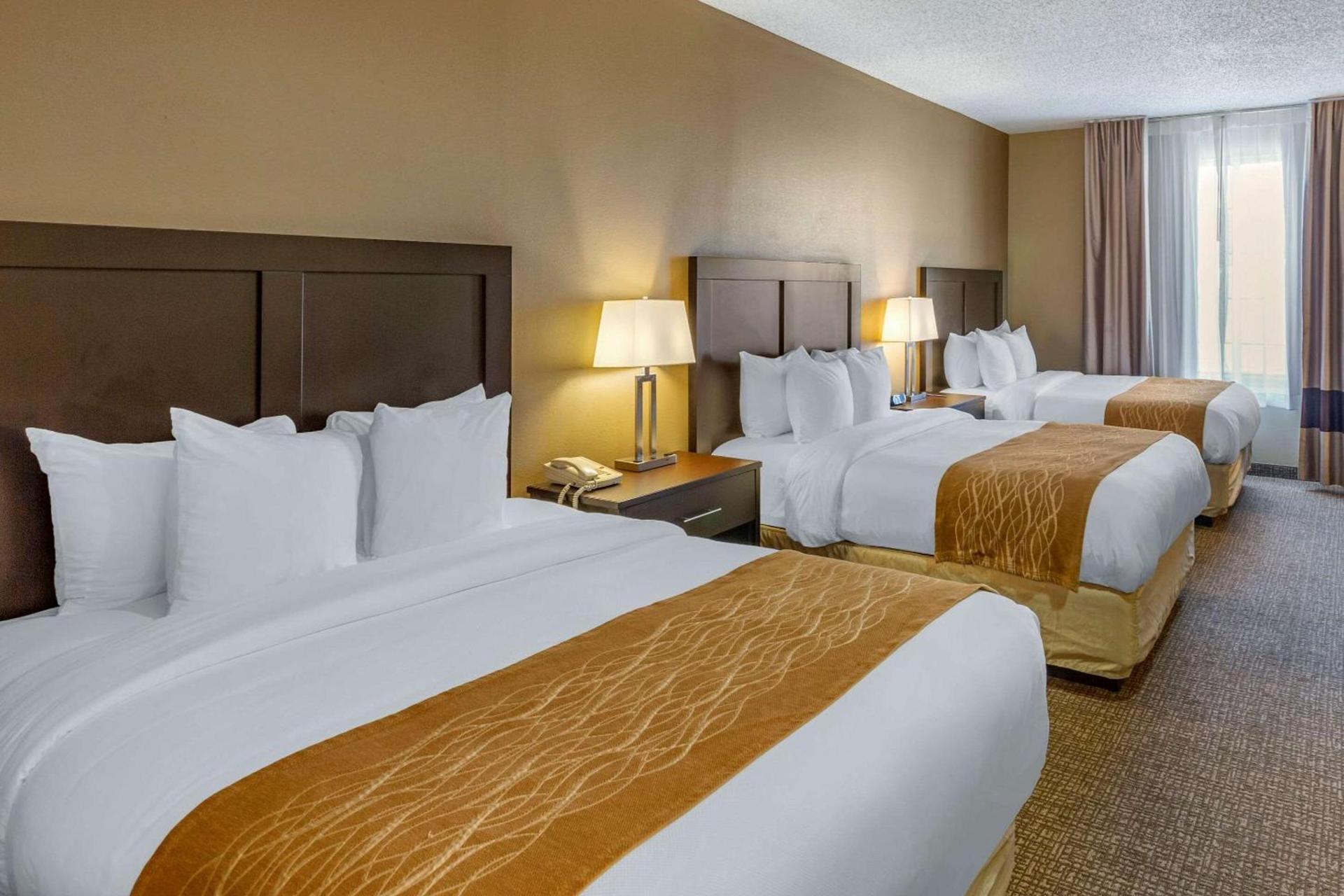 Comfort Inn Evanston I-80 photo 7