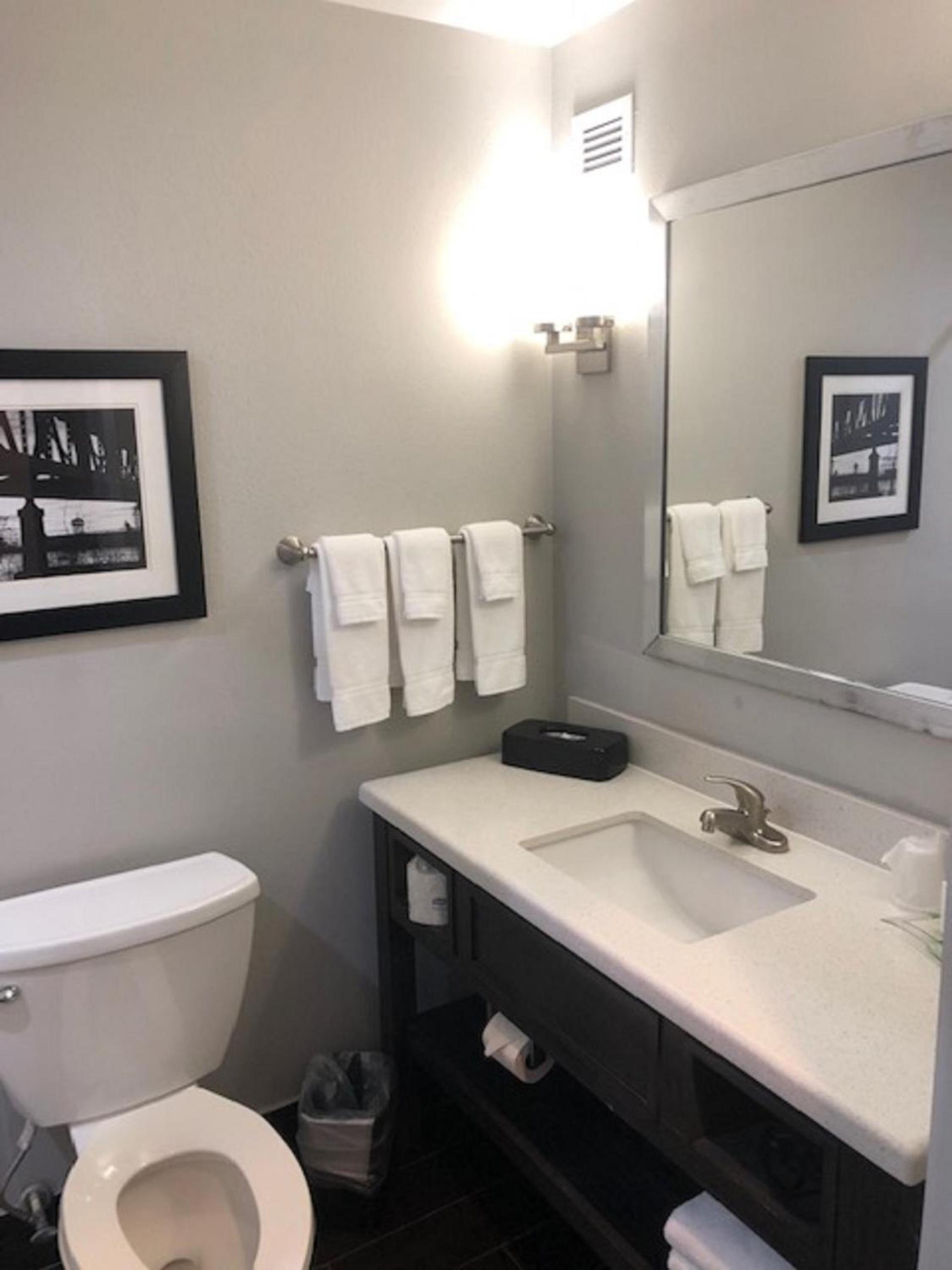 Holiday Inn & Suites Lafayette North by IHG photo 3