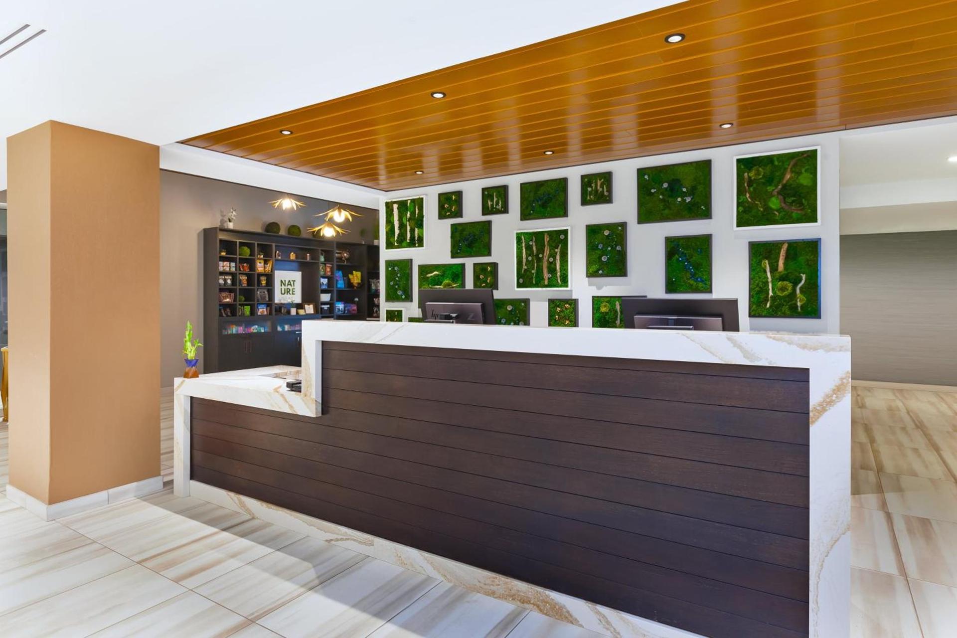 Hotel Indigo Rochester - Mayo Clinic Area by IHG photo 3