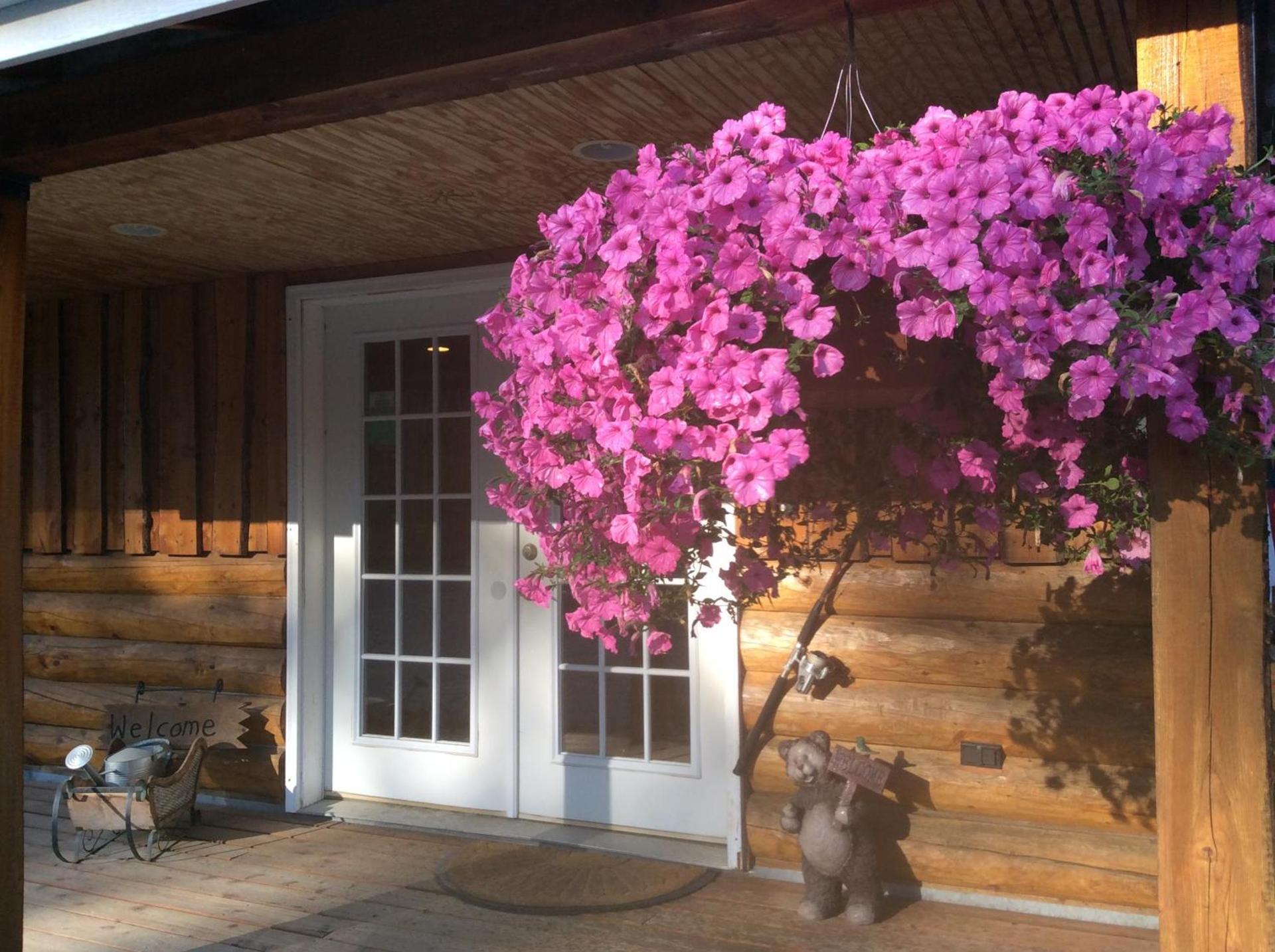 Denali Fireside Cabin & Suites photo 6