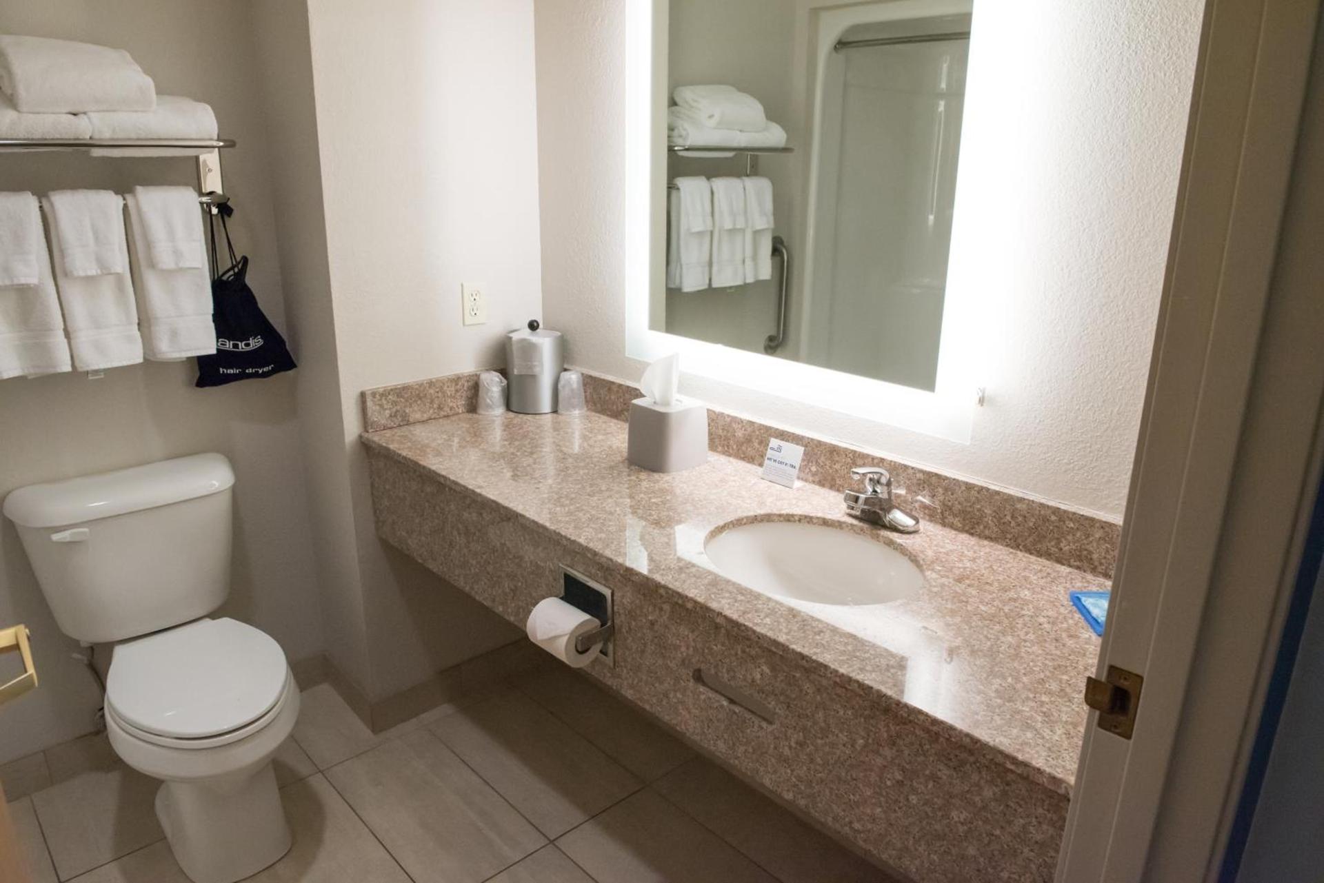 Holiday Inn Express Hotel & Suites Elkhart-South by IHG photo 41