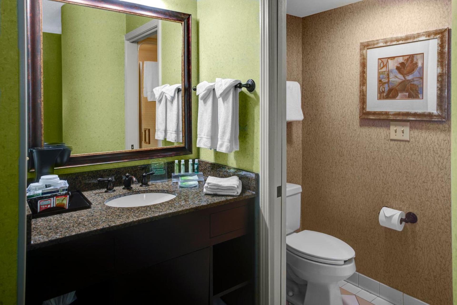 Holiday Inn Express Hotel & Suites Atlanta Buckhead by IHG photo 28