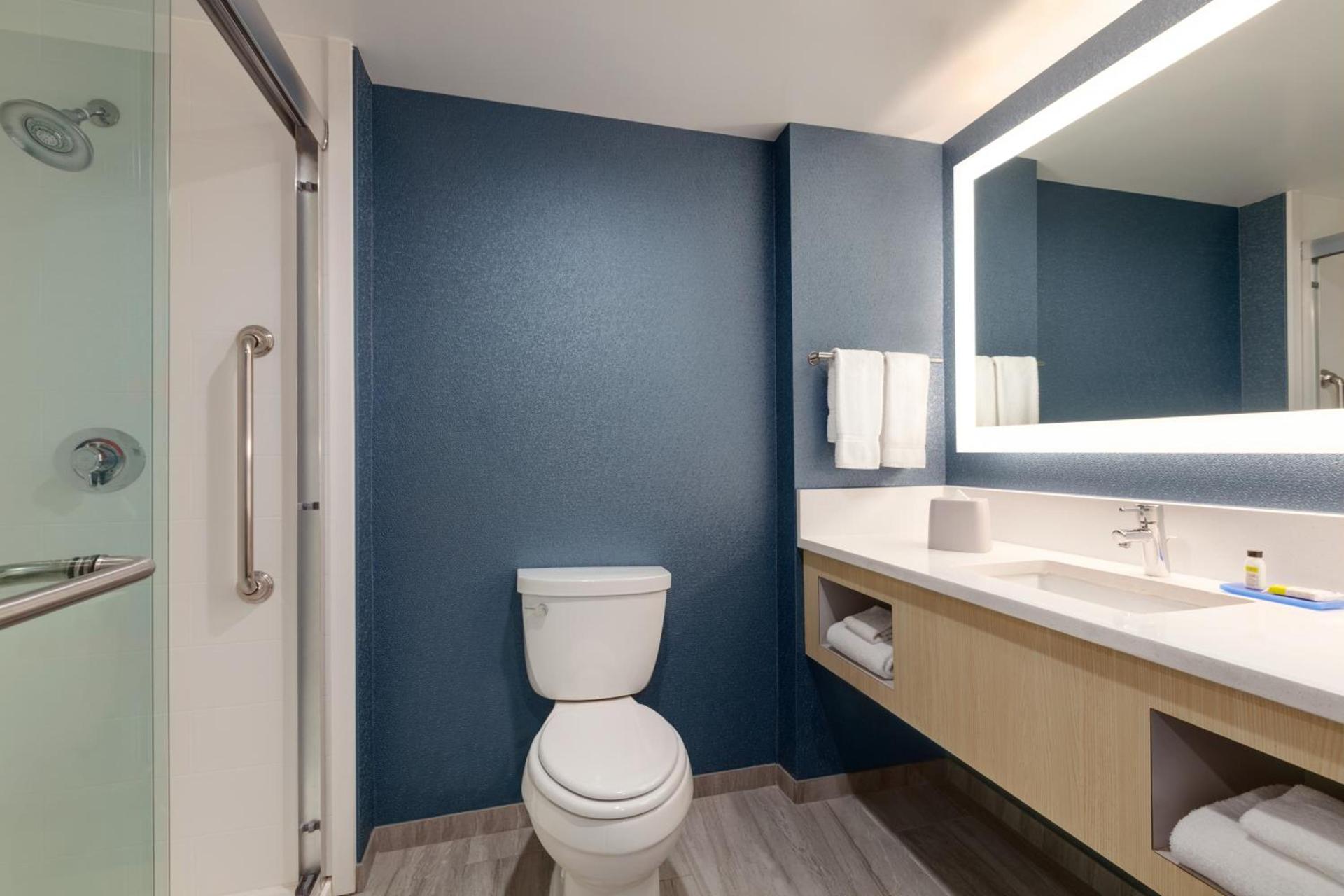 Holiday Inn Express Hotel & Suites Norfolk Airport by IHG photo 39