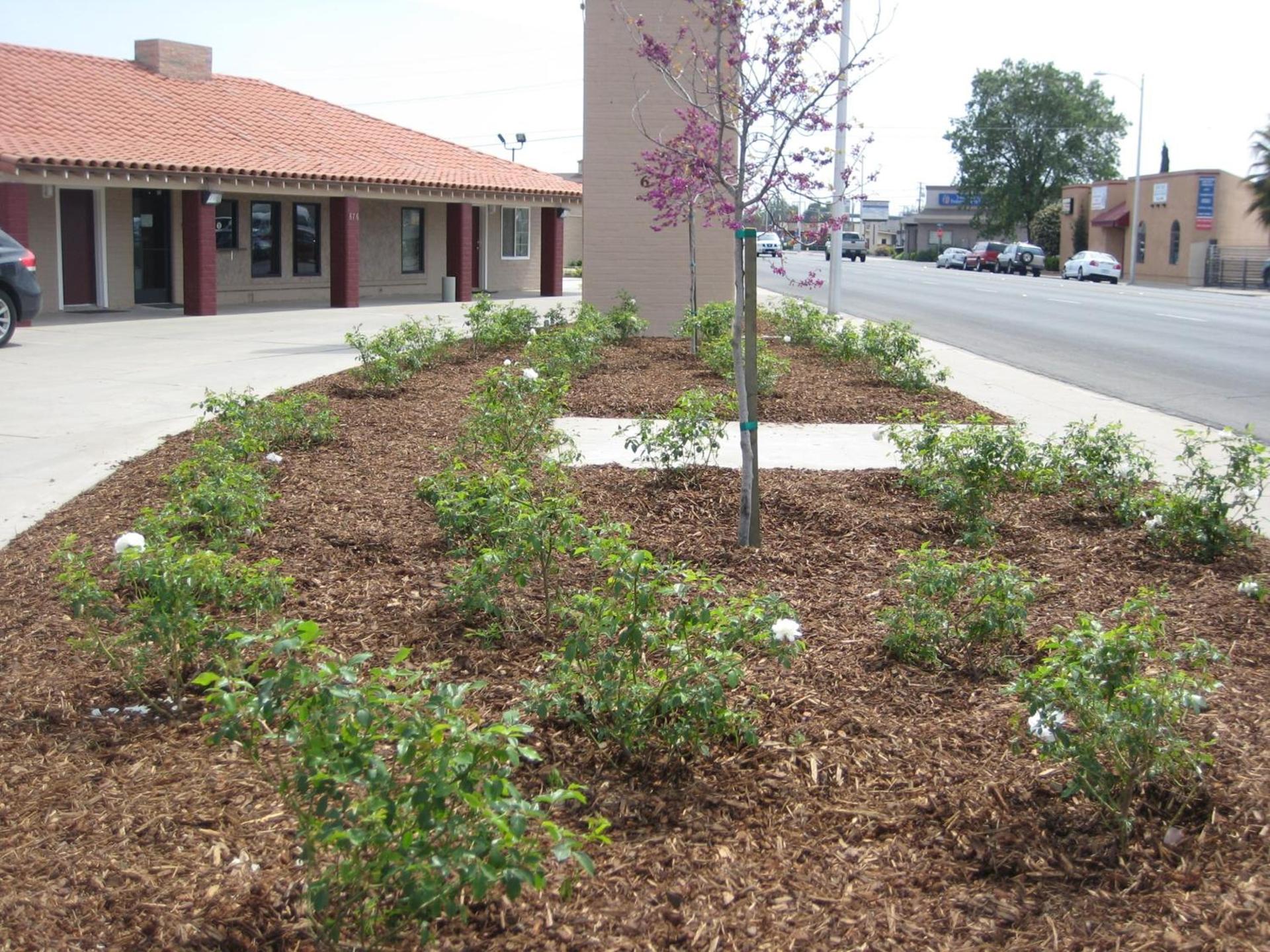 Americas Best Value Inn - Porterville photo 18