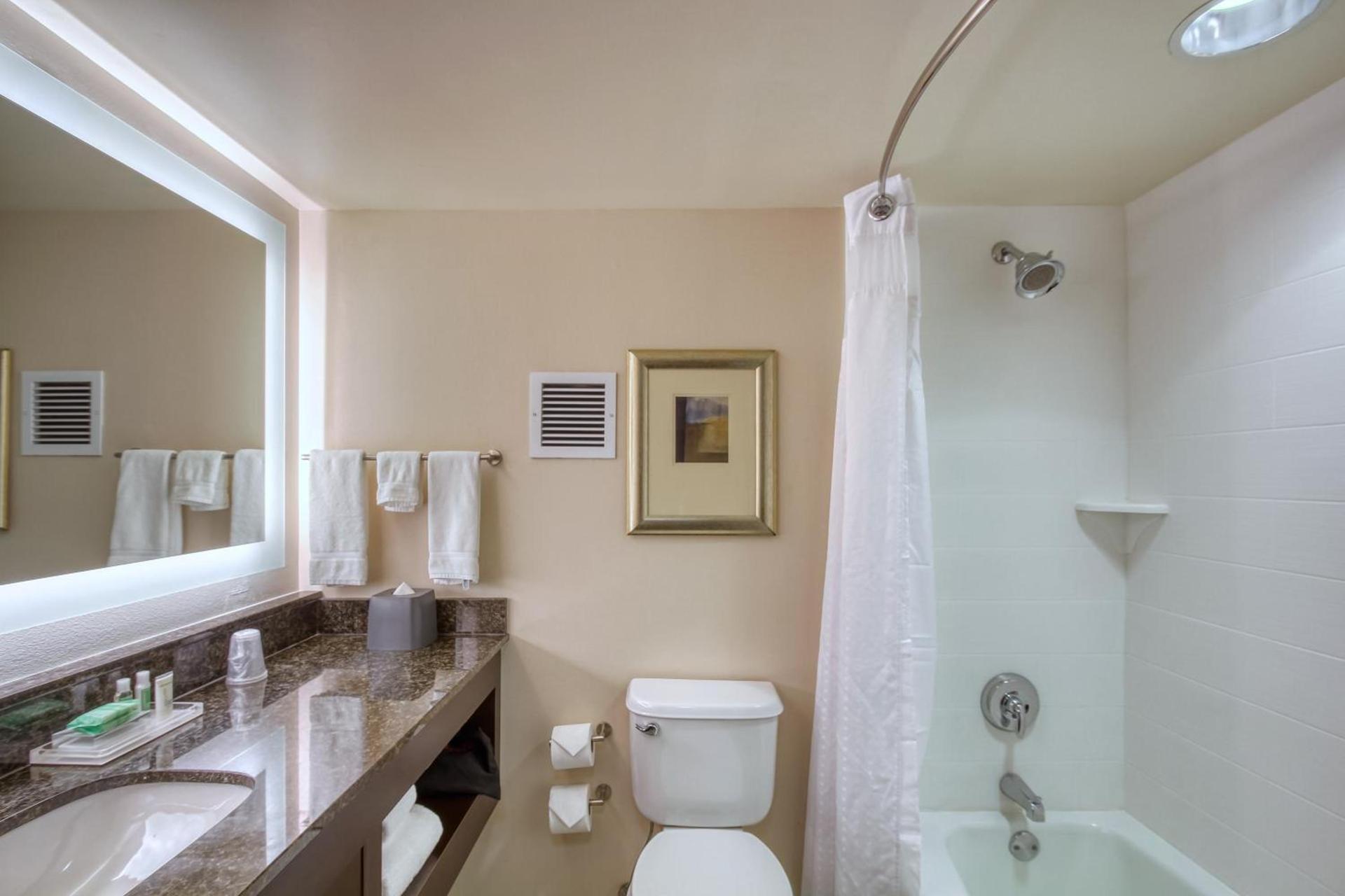 Holiday Inn & Suites Atlanta Airport North by IHG photo 37