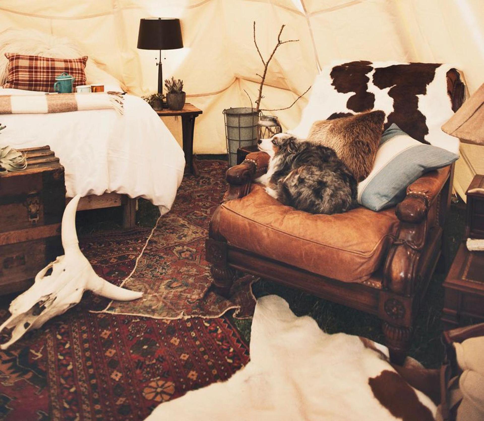 Dreamcatcher Tipi Hotel photo 30
