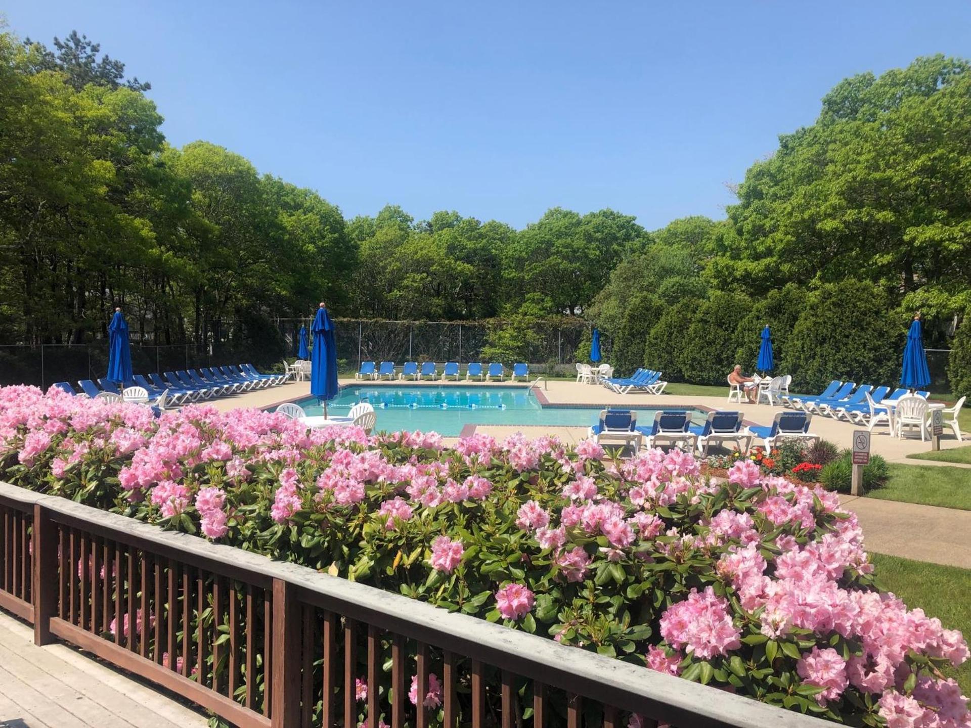 Sea Mist Resort photo 4