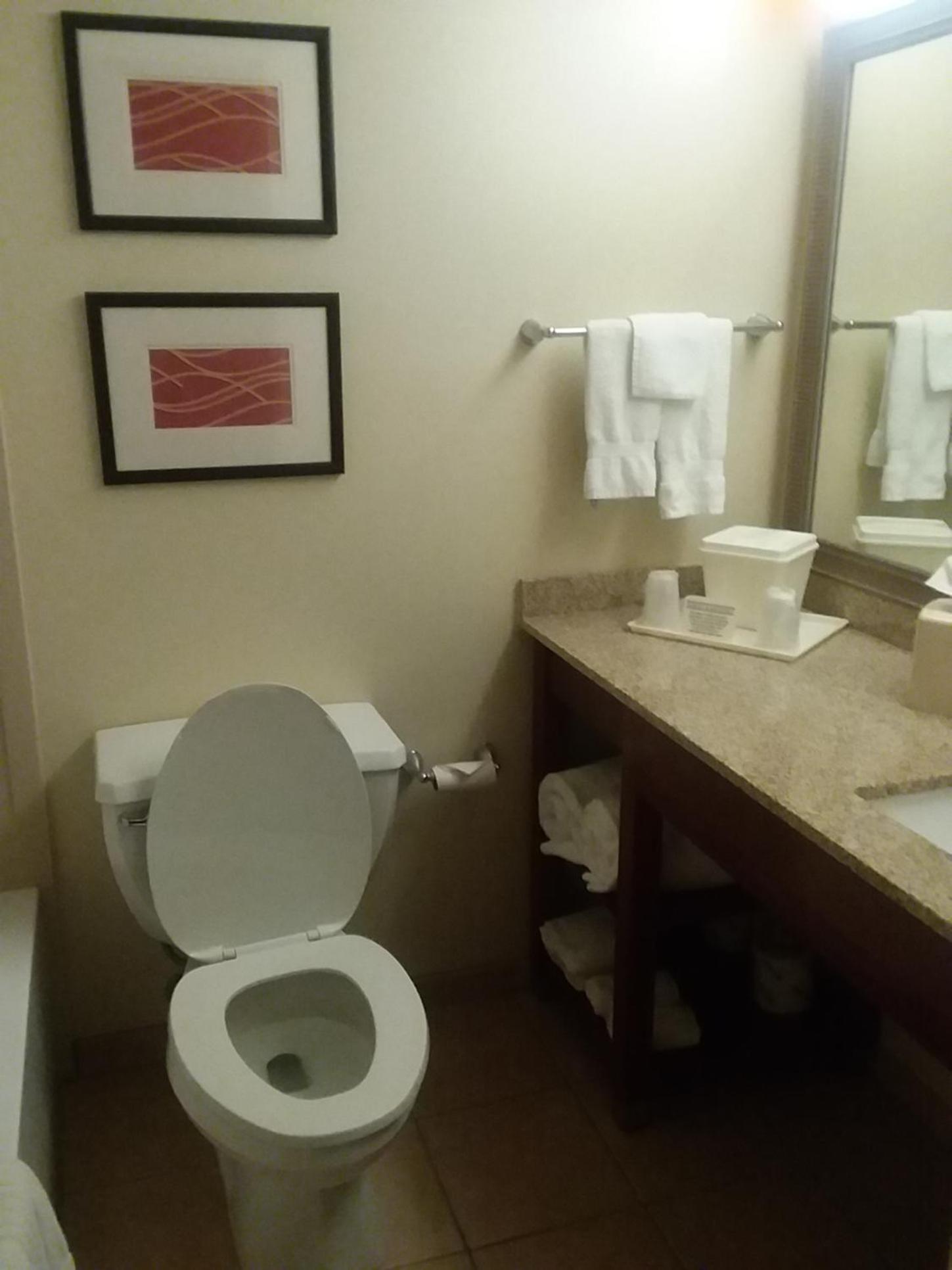 Comfort Inn Somerset photo 44