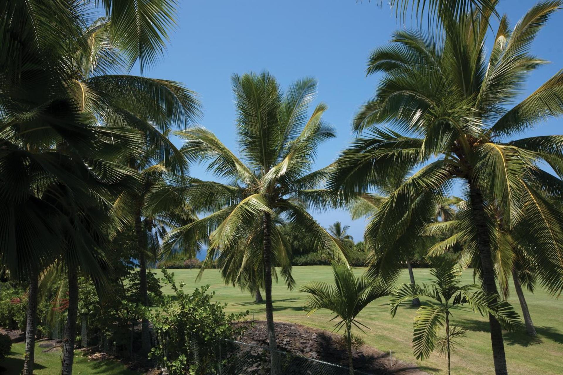 Holua Resort photo 37