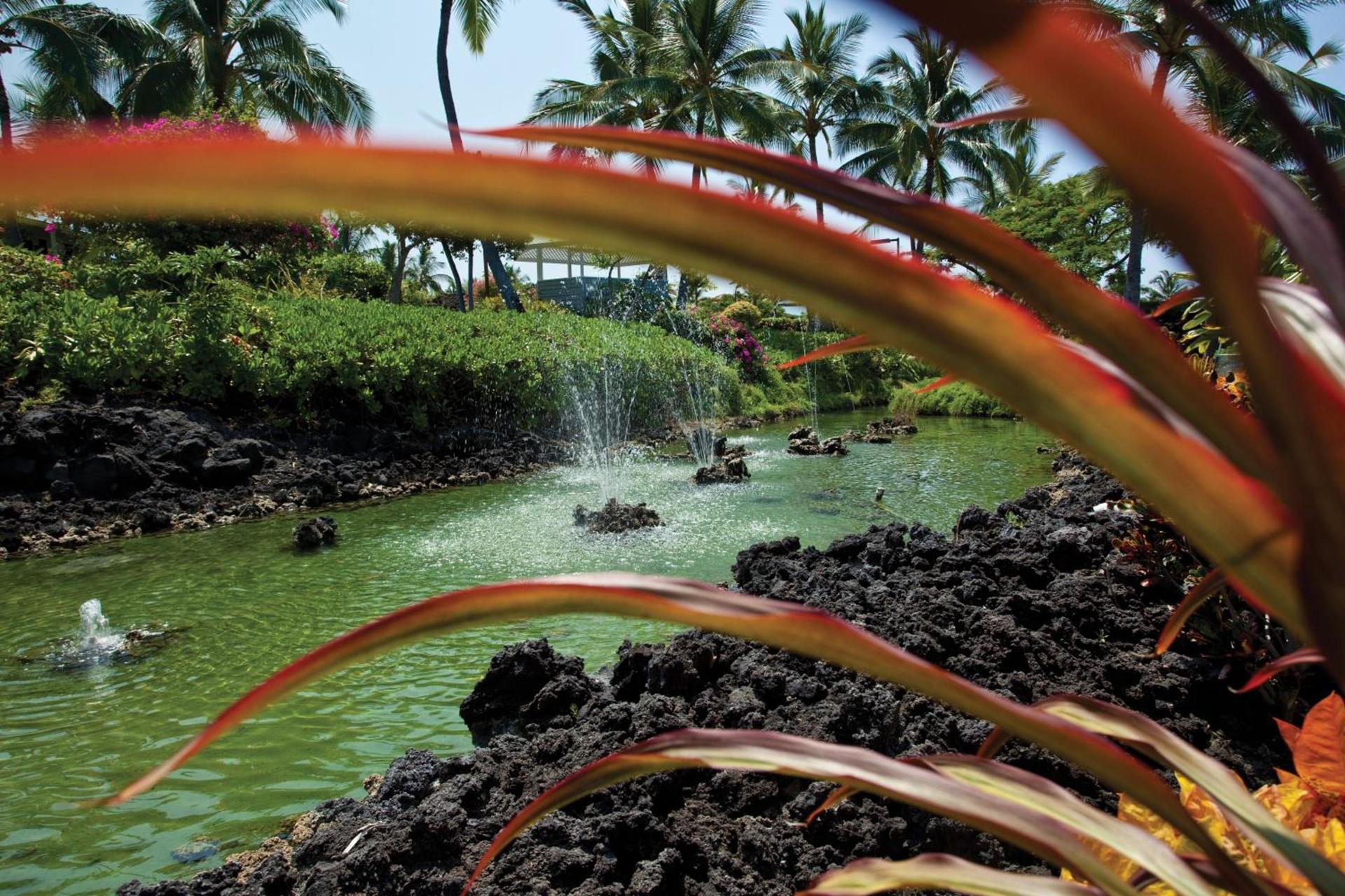 Holua Resort photo 38