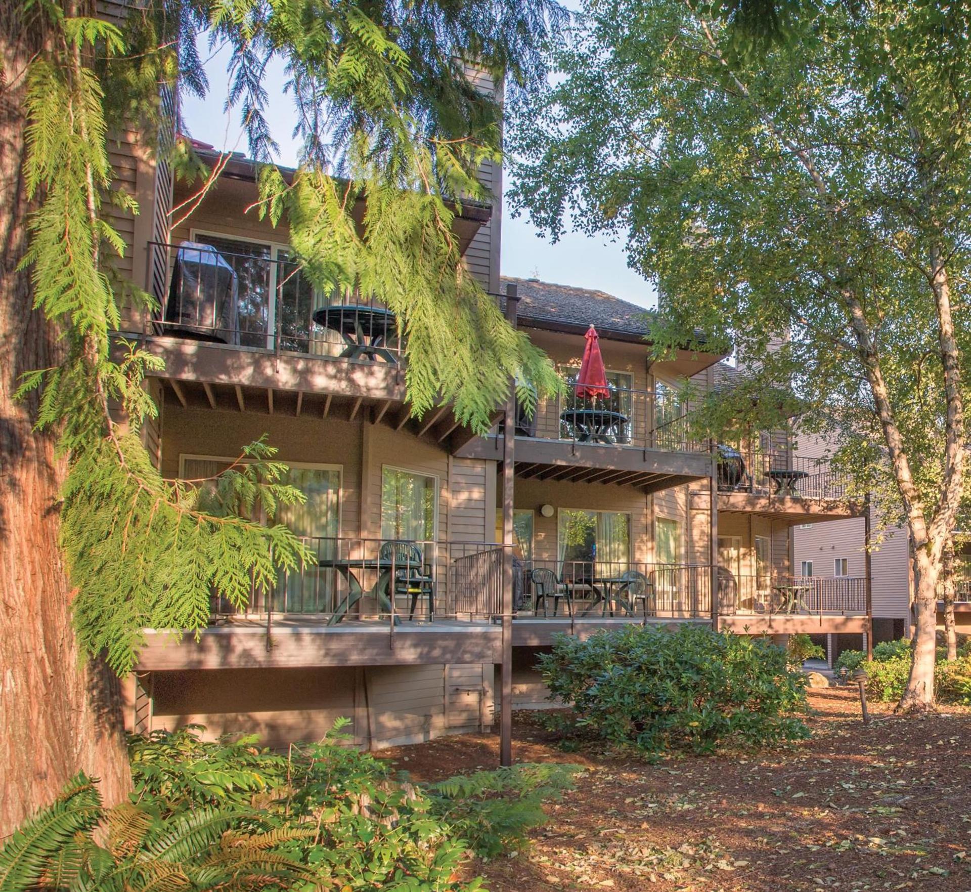 Whispering Woods Resort photo 41