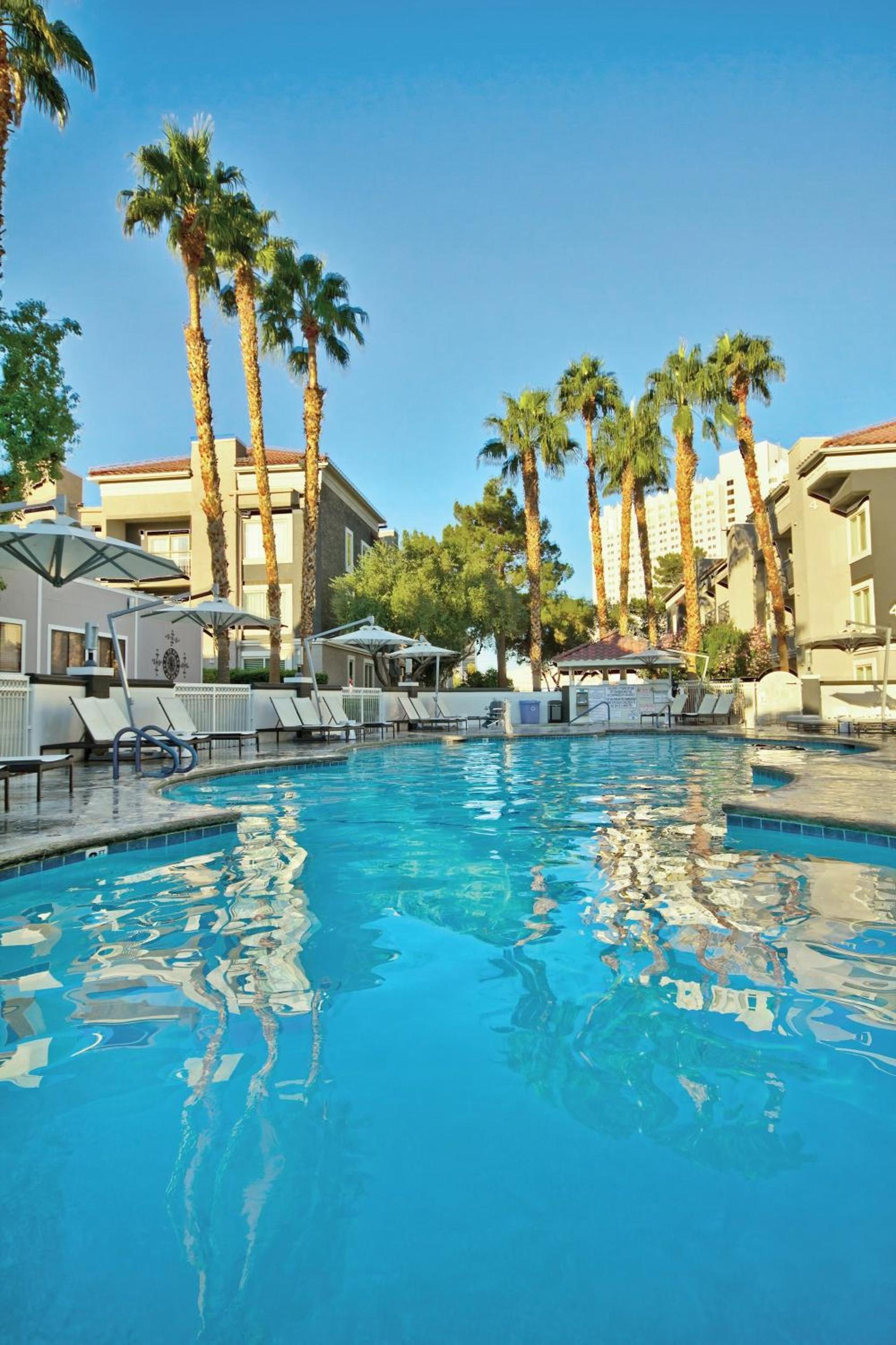 Desert Rose Resort photo 3