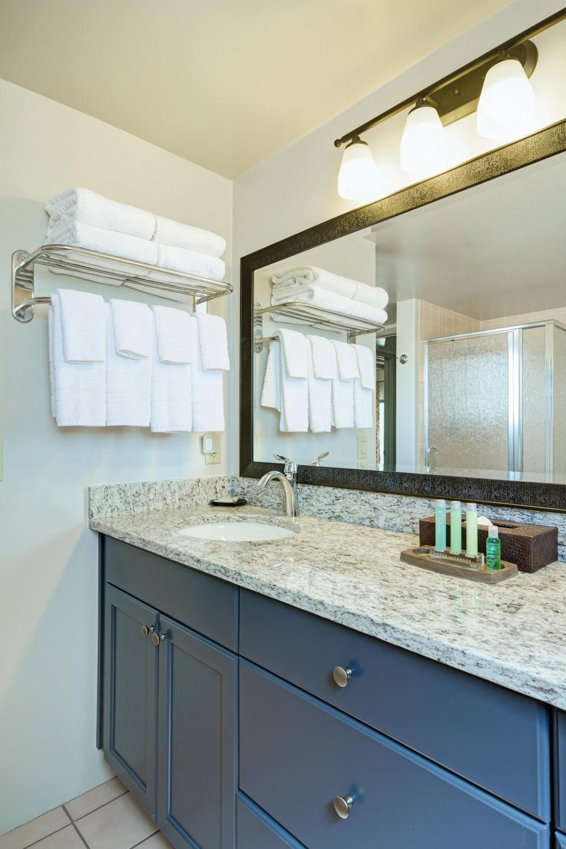 Starr Pass Golf Suites photo 16