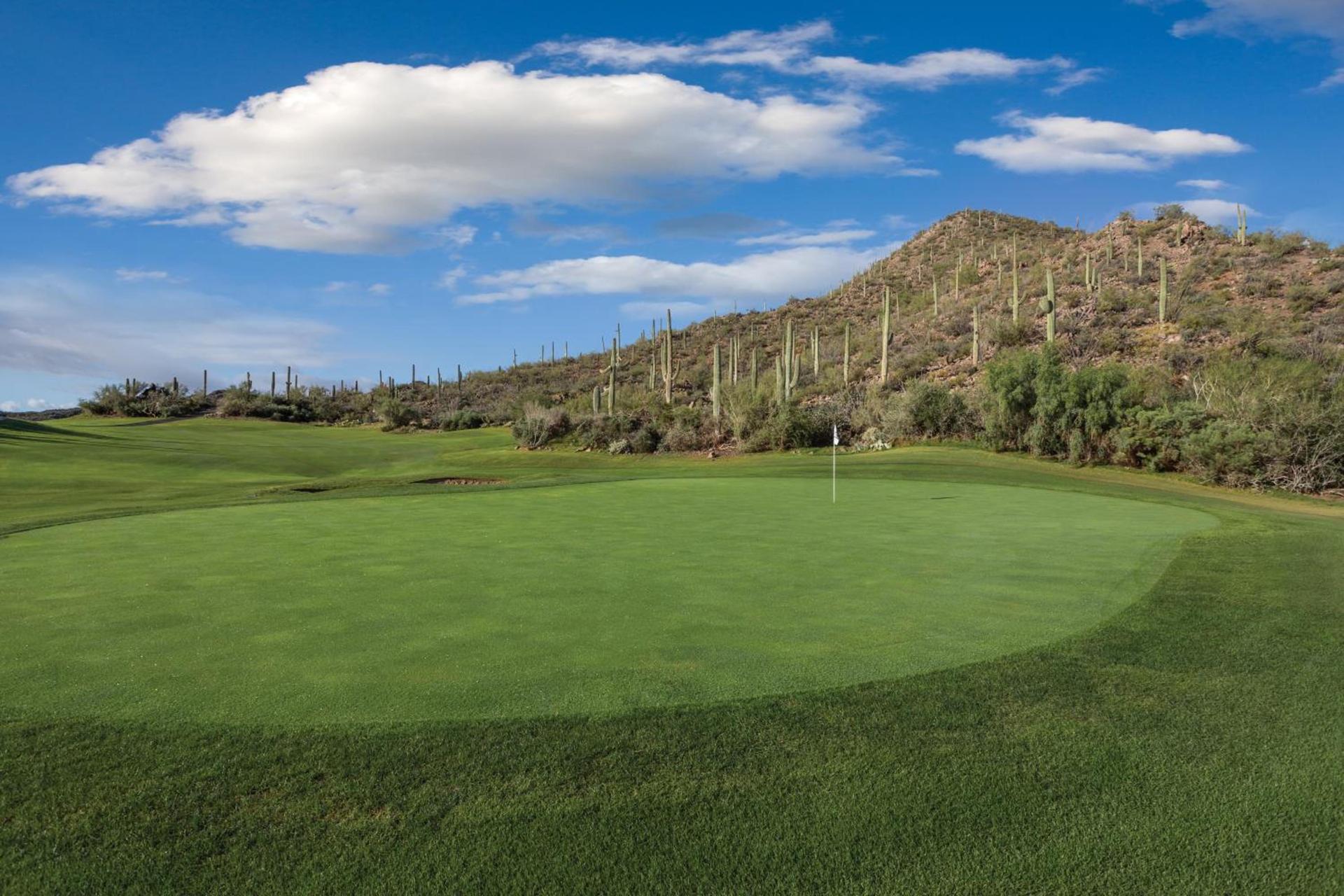 Starr Pass Golf Suites photo 59