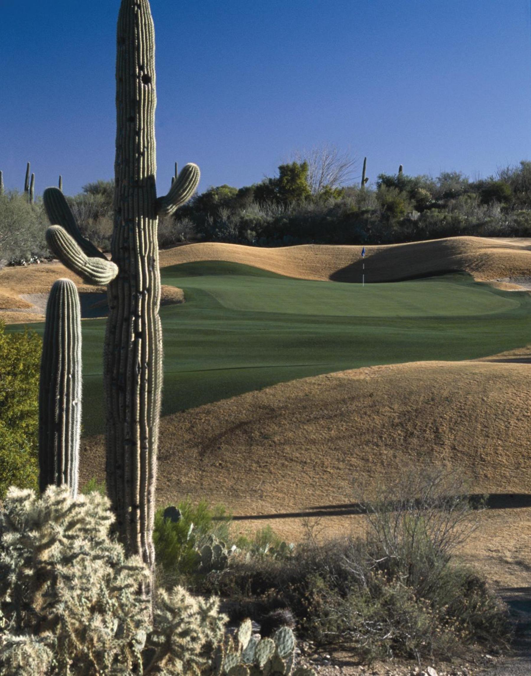 Starr Pass Golf Suites photo 60