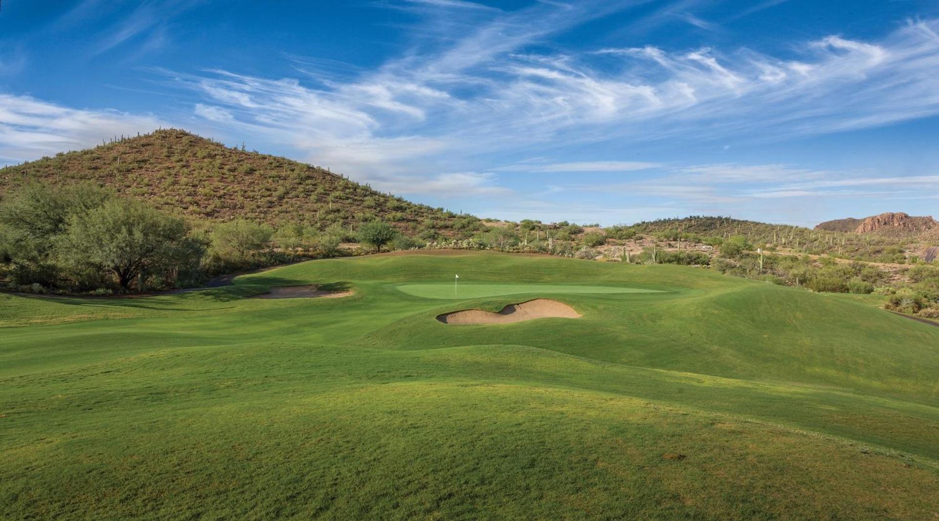 Starr Pass Golf Suites photo 58