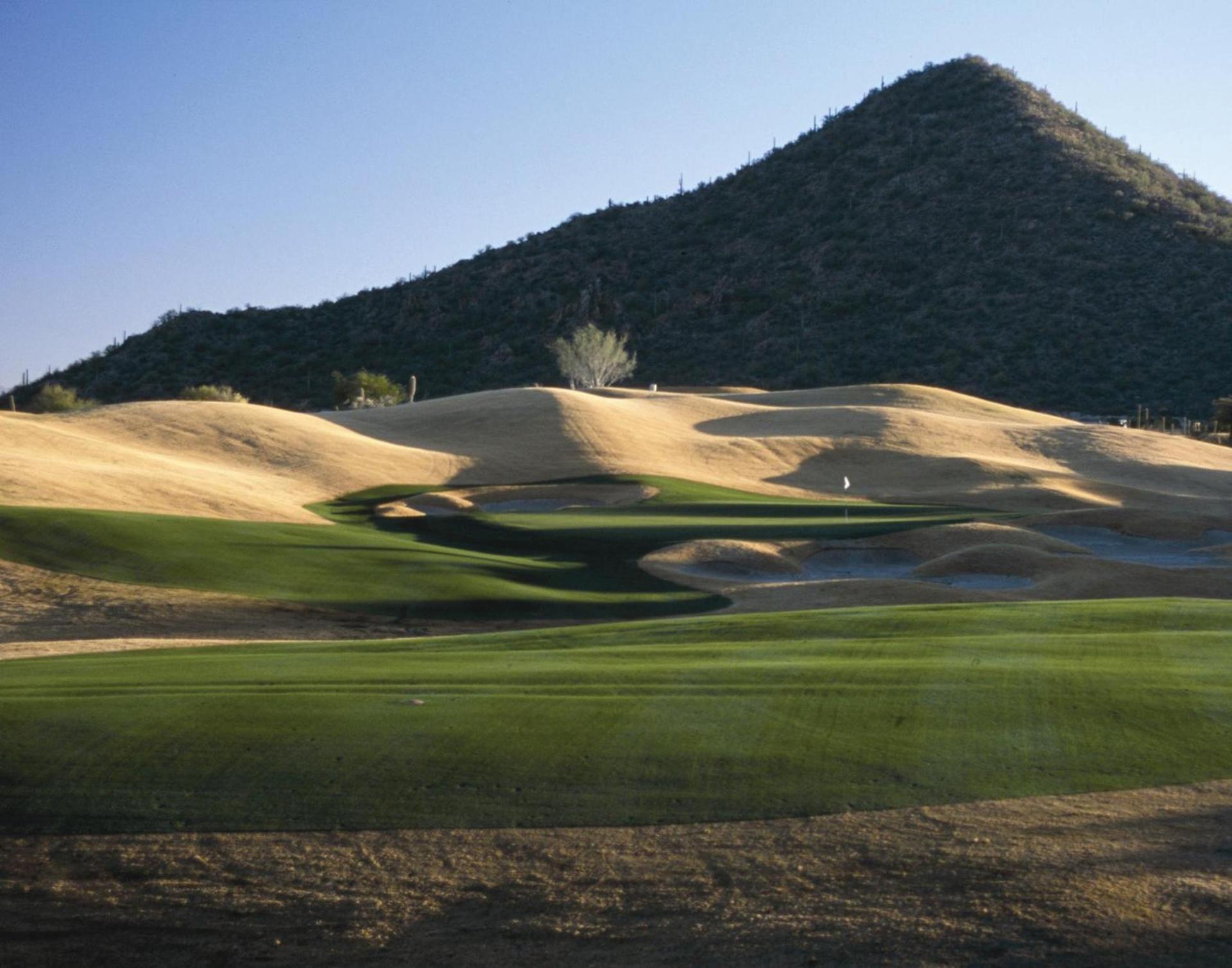 Starr Pass Golf Suites photo 61
