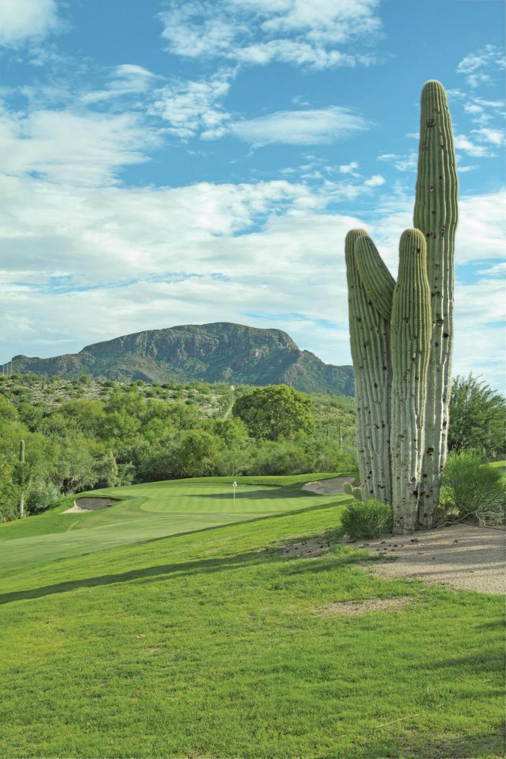 Starr Pass Golf Suites photo 64