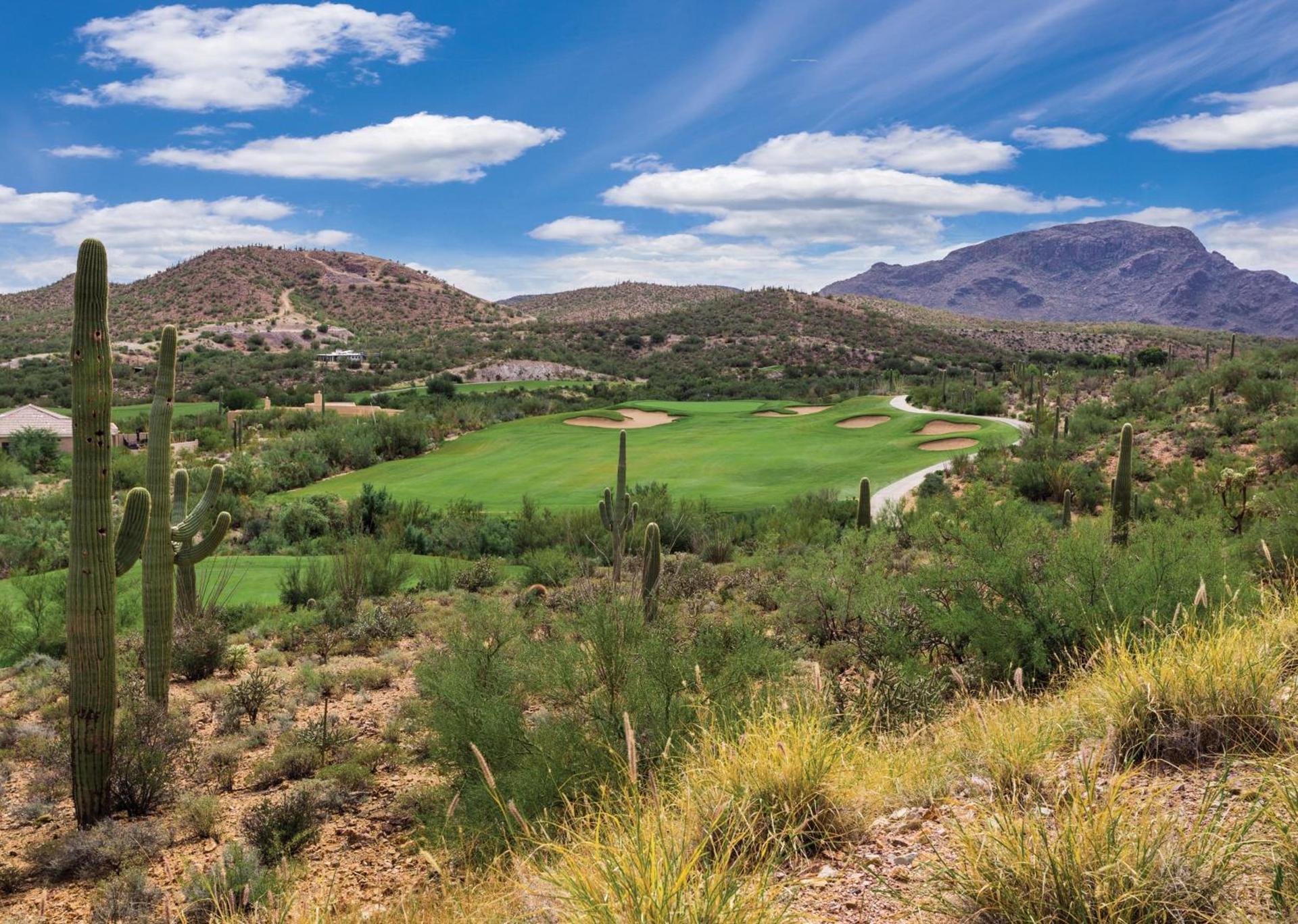 Starr Pass Golf Suites photo 62