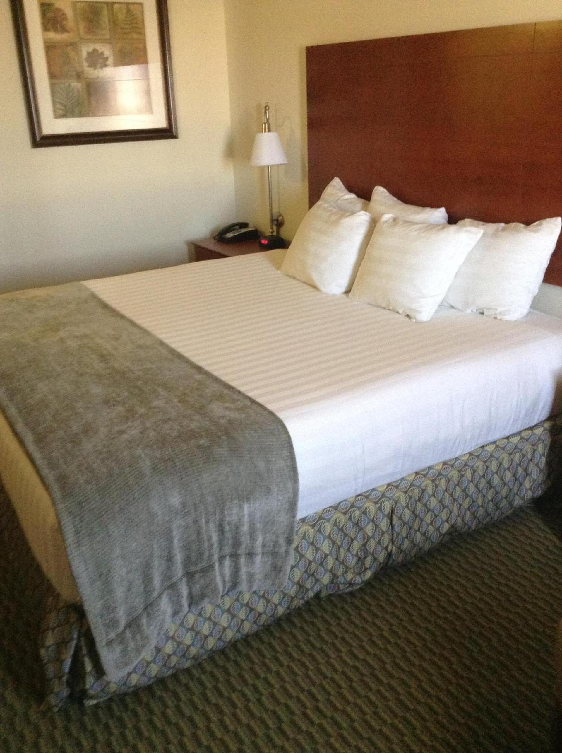 Days Inn by Wyndham Carroll photo 18