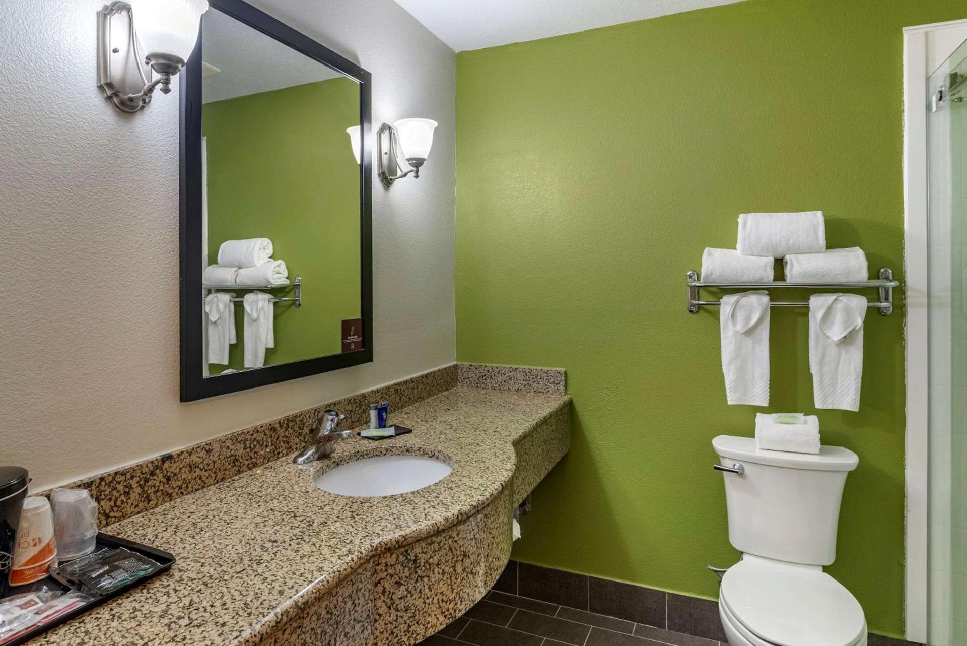 Sleep Inn & Suites Stockbridge Atlanta South photo 31