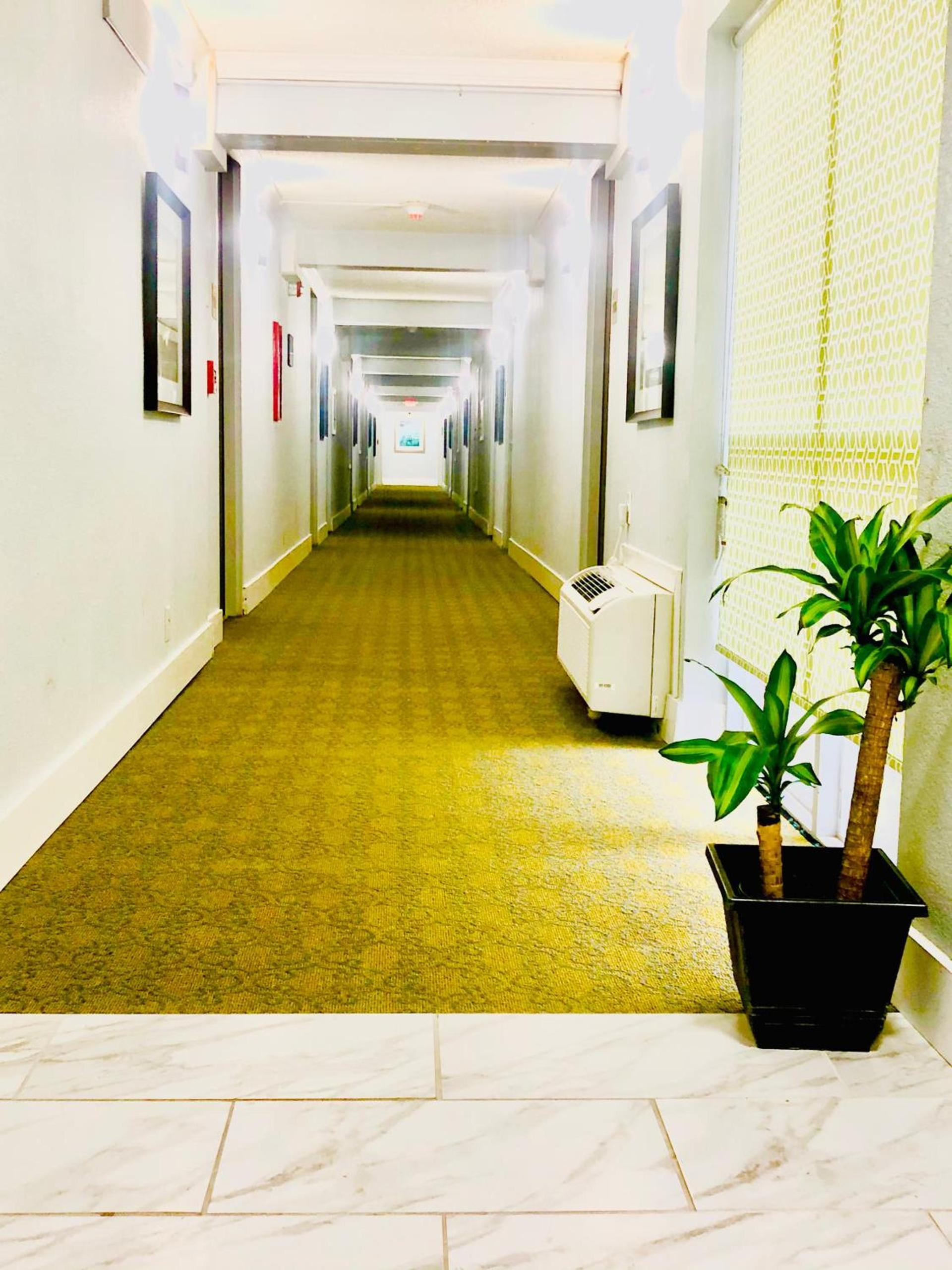 Econo Lodge Montgomery South I-65 photo 39