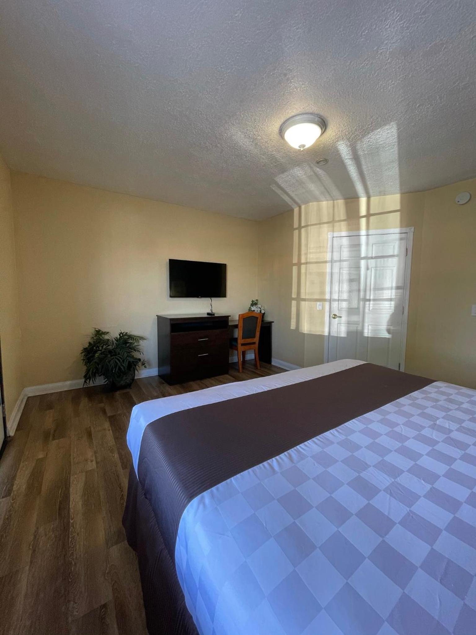 Palm Tropics Motel photo 5