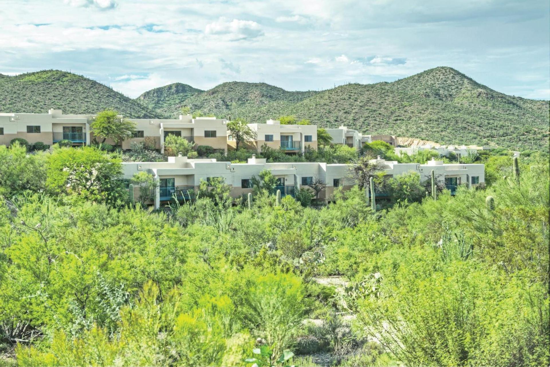 Starr Pass Golf Suites photo 49