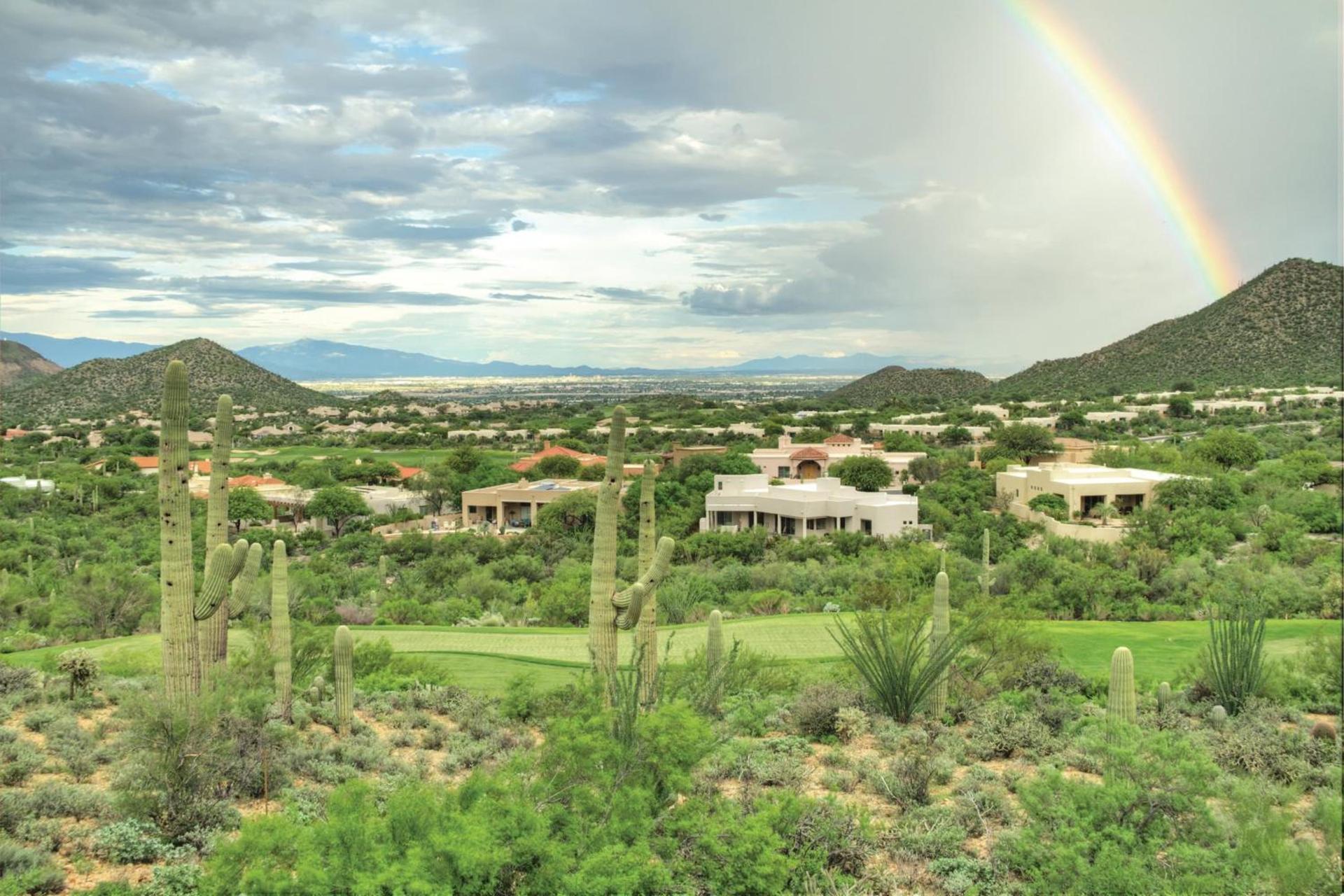Starr Pass Golf Suites photo 50