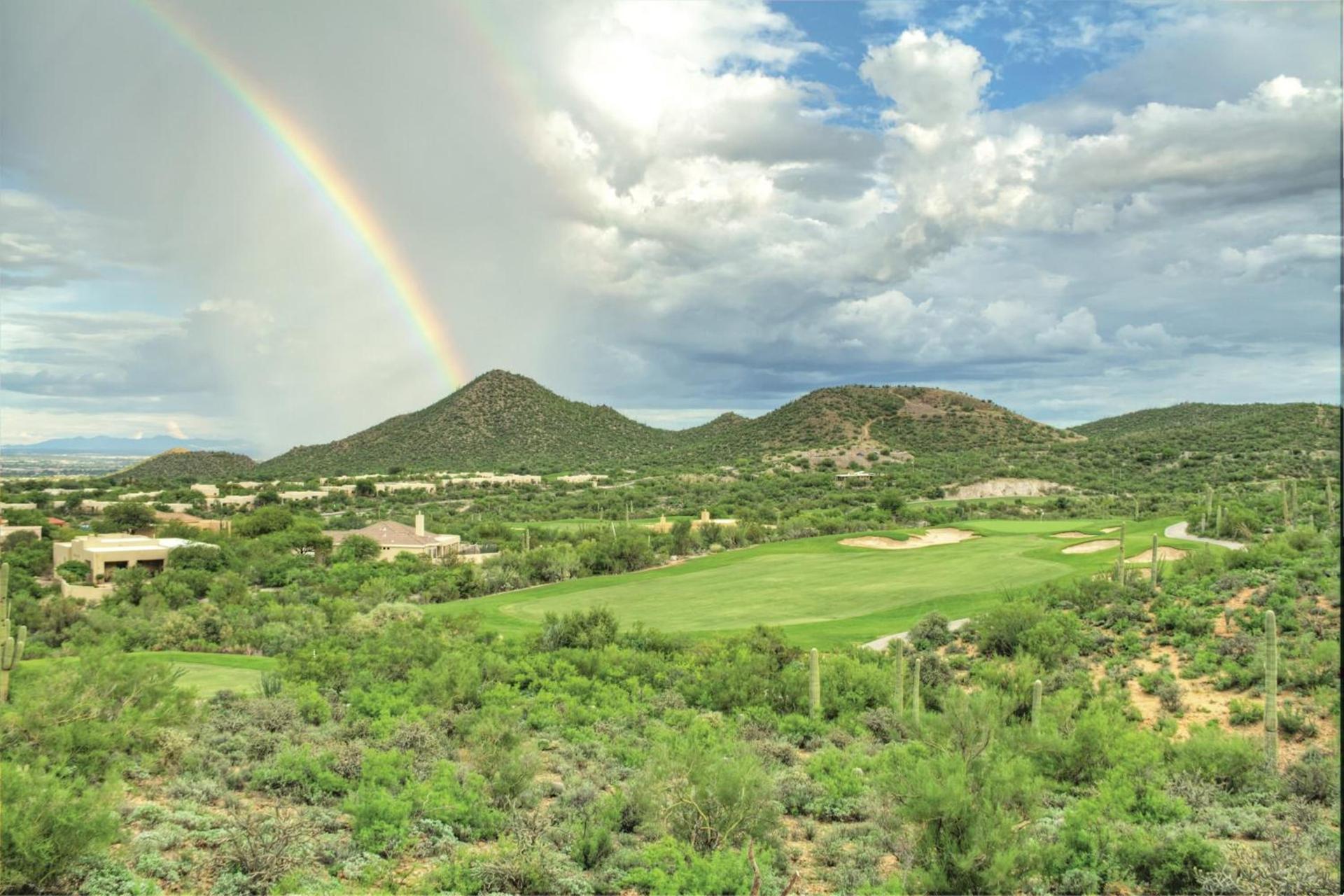 Starr Pass Golf Suites photo 63