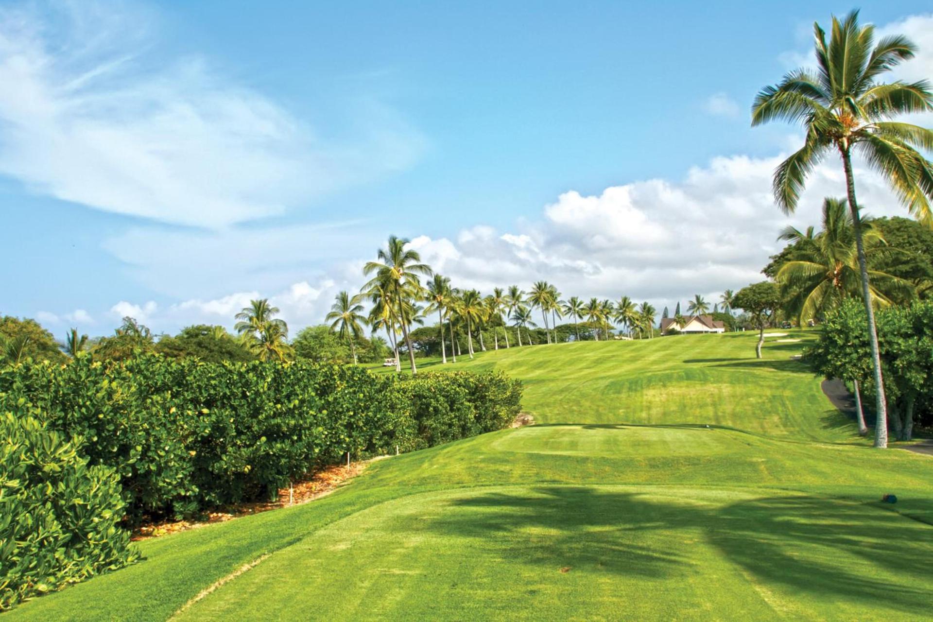 Holua Resort photo 40