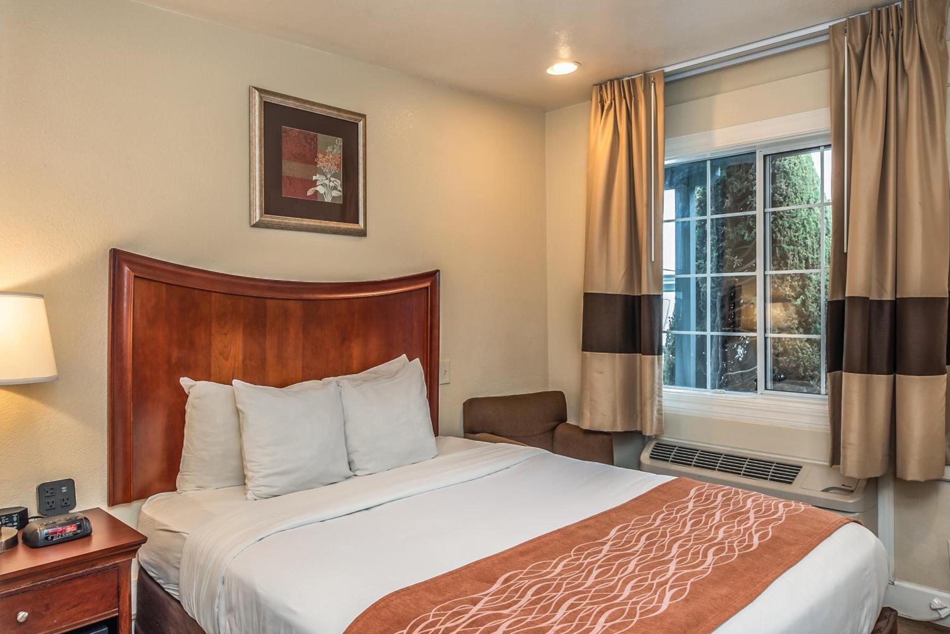 Blu Pacific Hotel photo 22