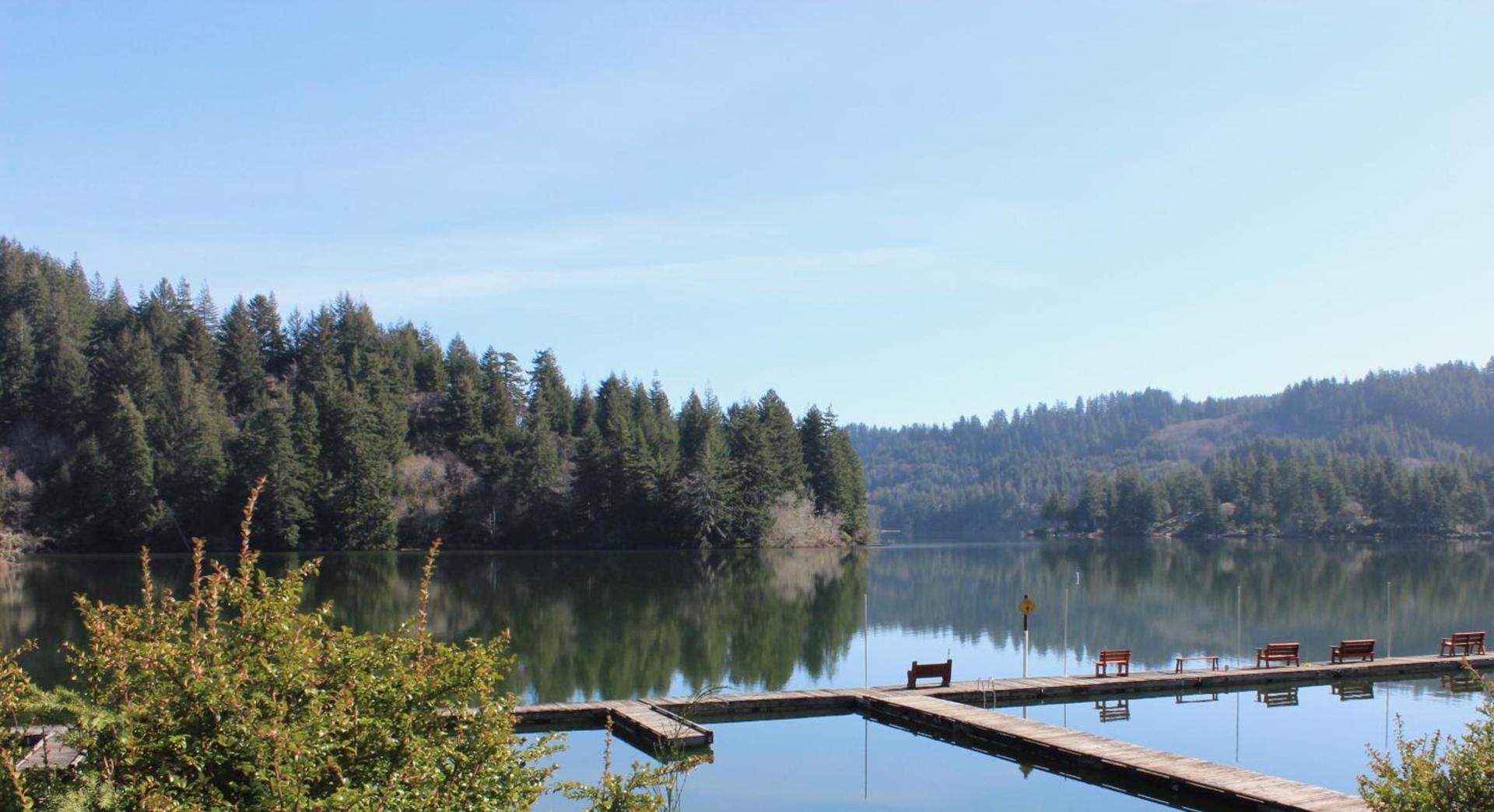 Mercer Lake Resort and Beach photo 13
