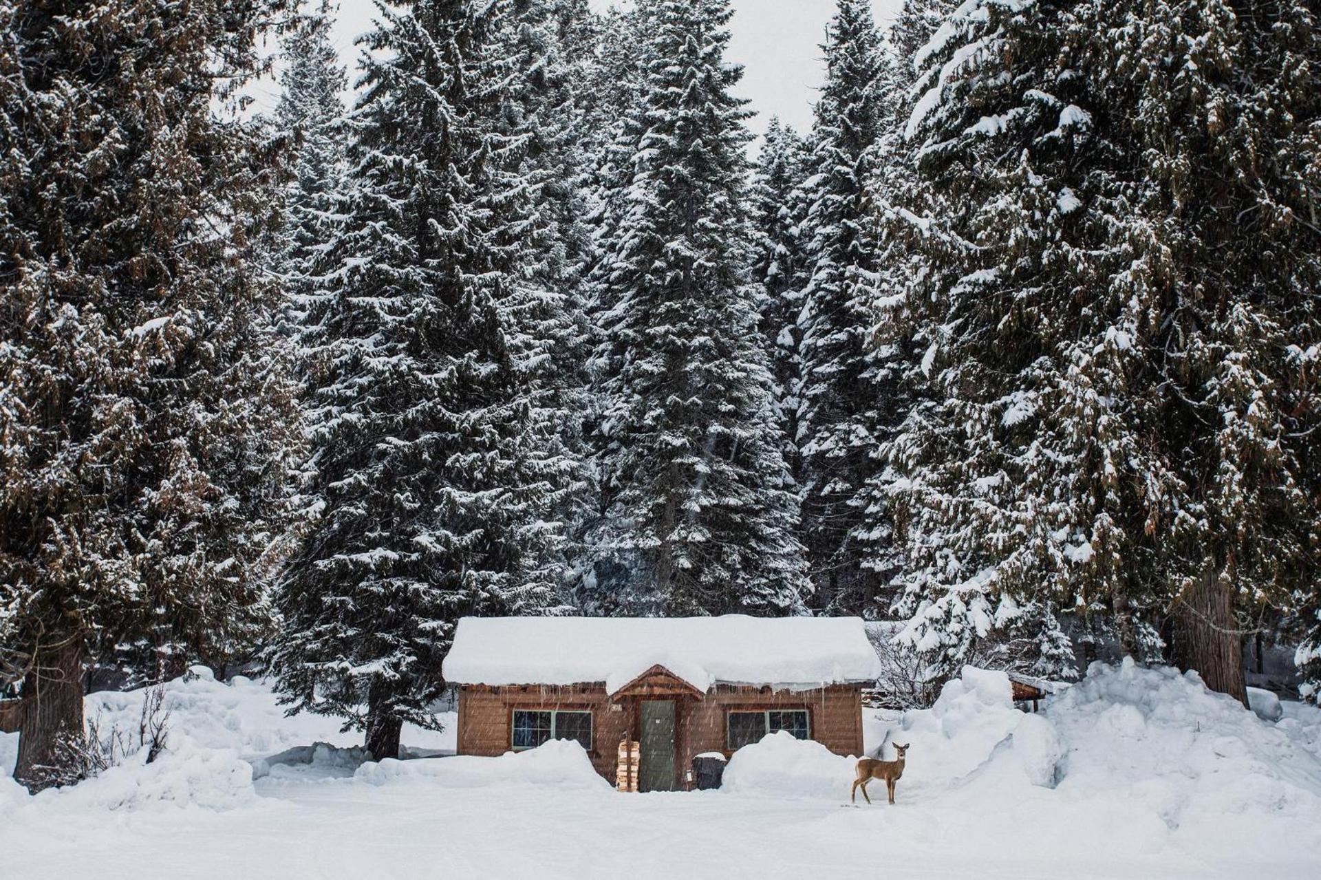 Lochsa Lodge photo 10