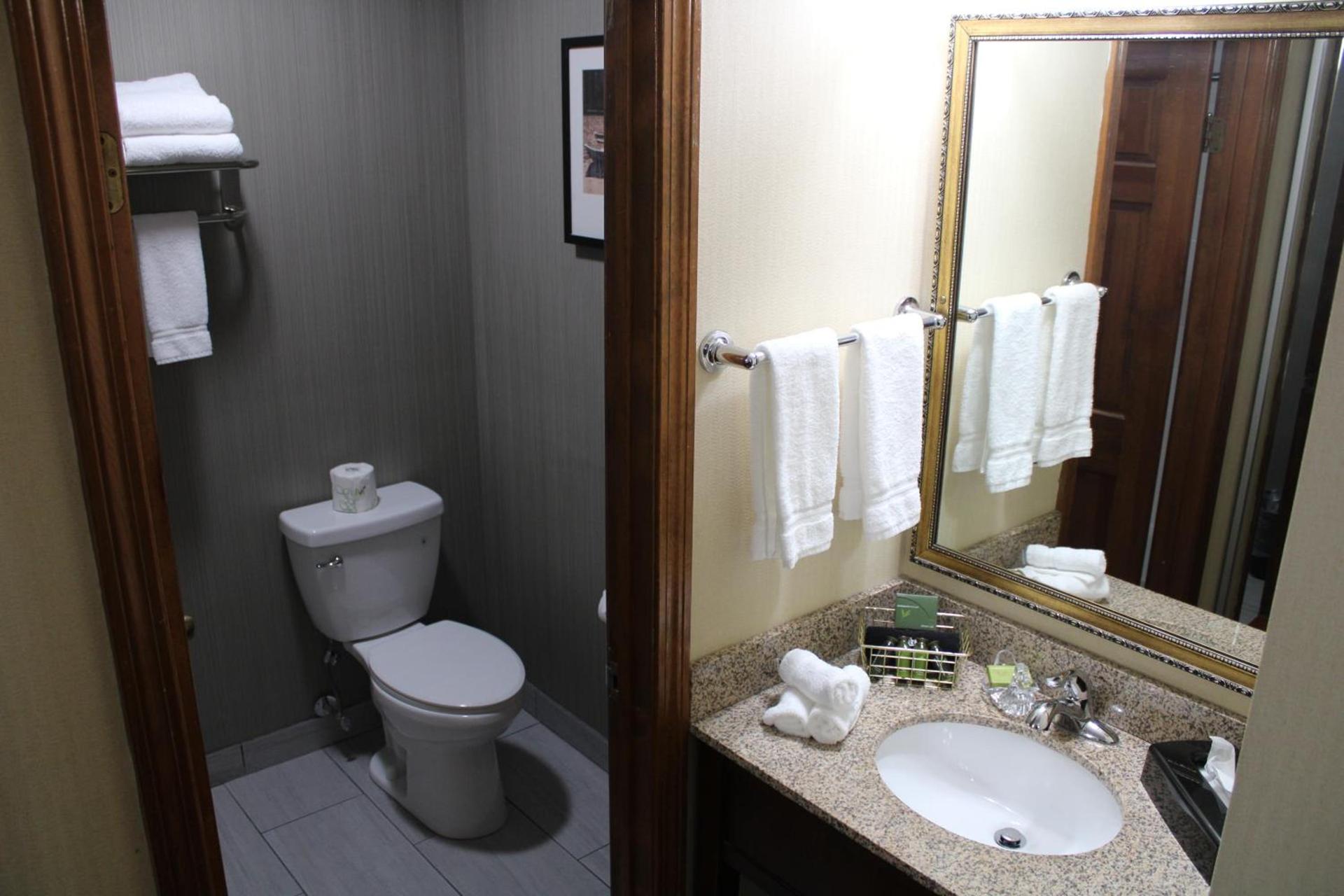 The Black Swan Lee - Lenox, an Ascend Collection Hotel photo 57