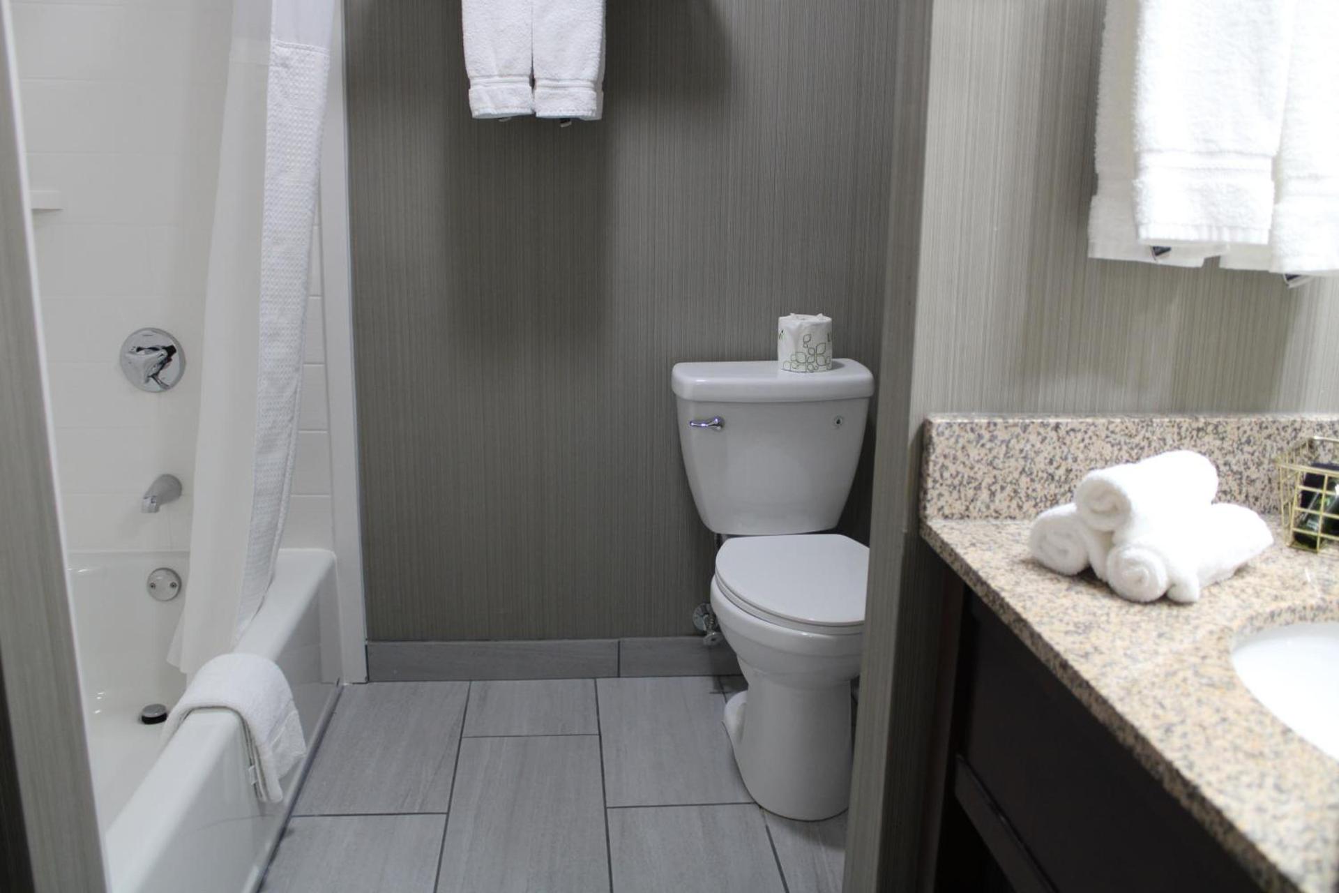 The Black Swan Lee - Lenox, an Ascend Collection Hotel photo 56