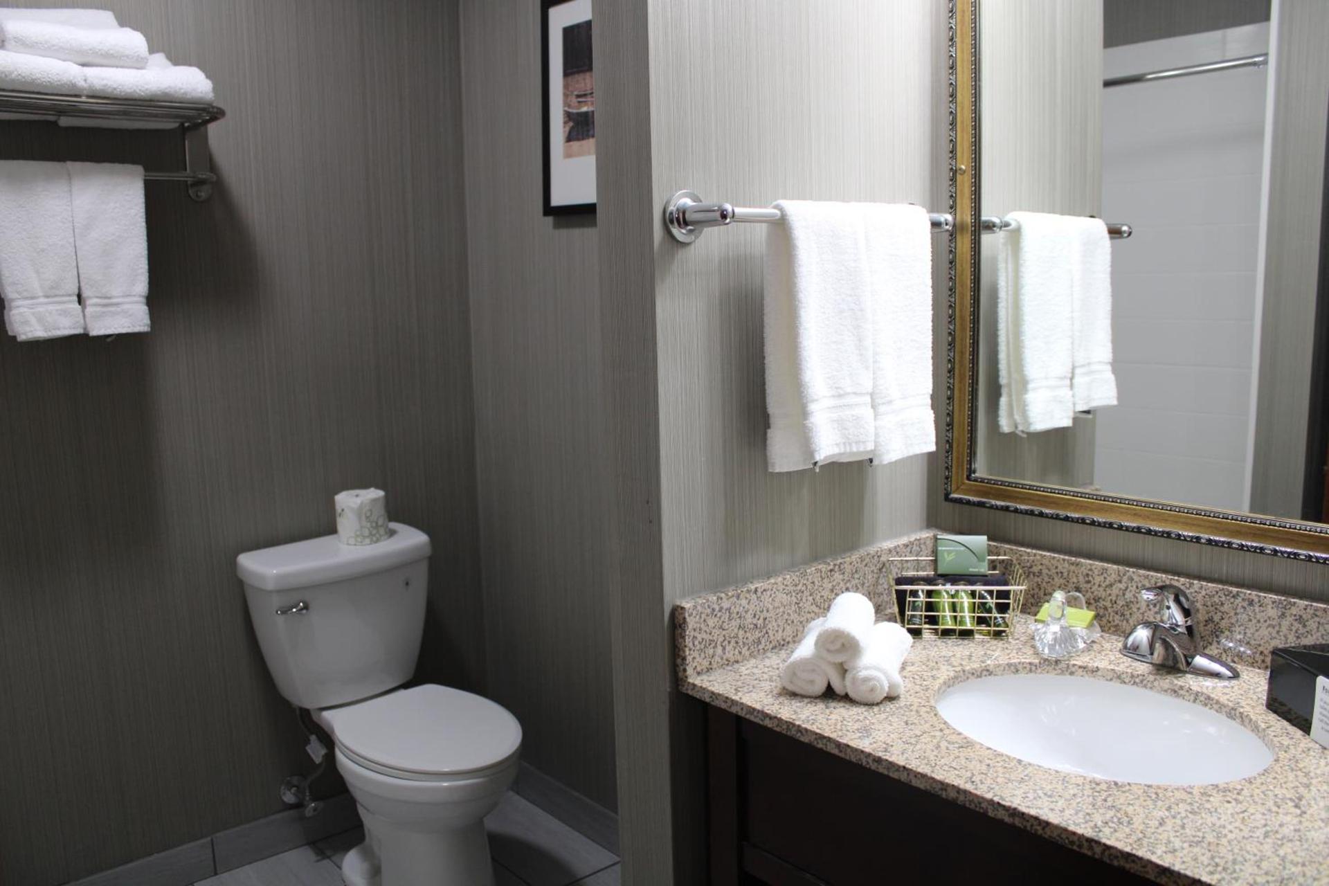 The Black Swan Lee - Lenox, an Ascend Collection Hotel photo 55