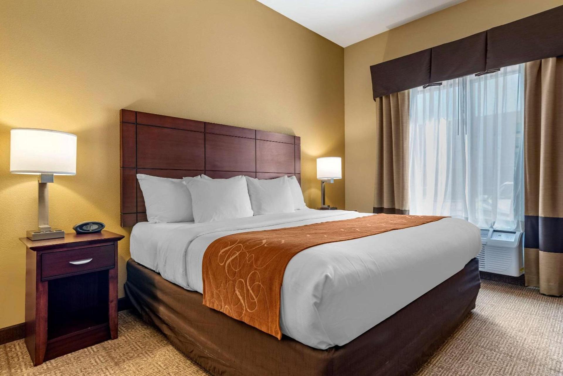 Comfort Suites Airport South photo 7