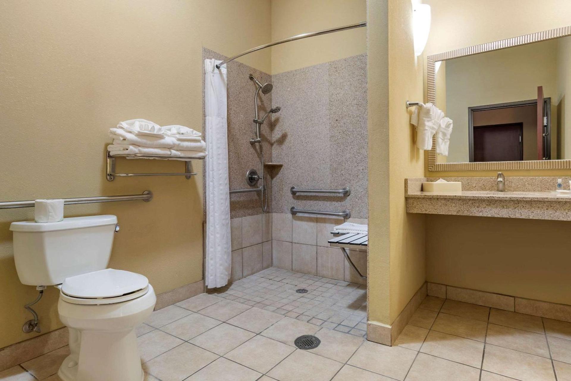 Comfort Suites Airport South photo 10