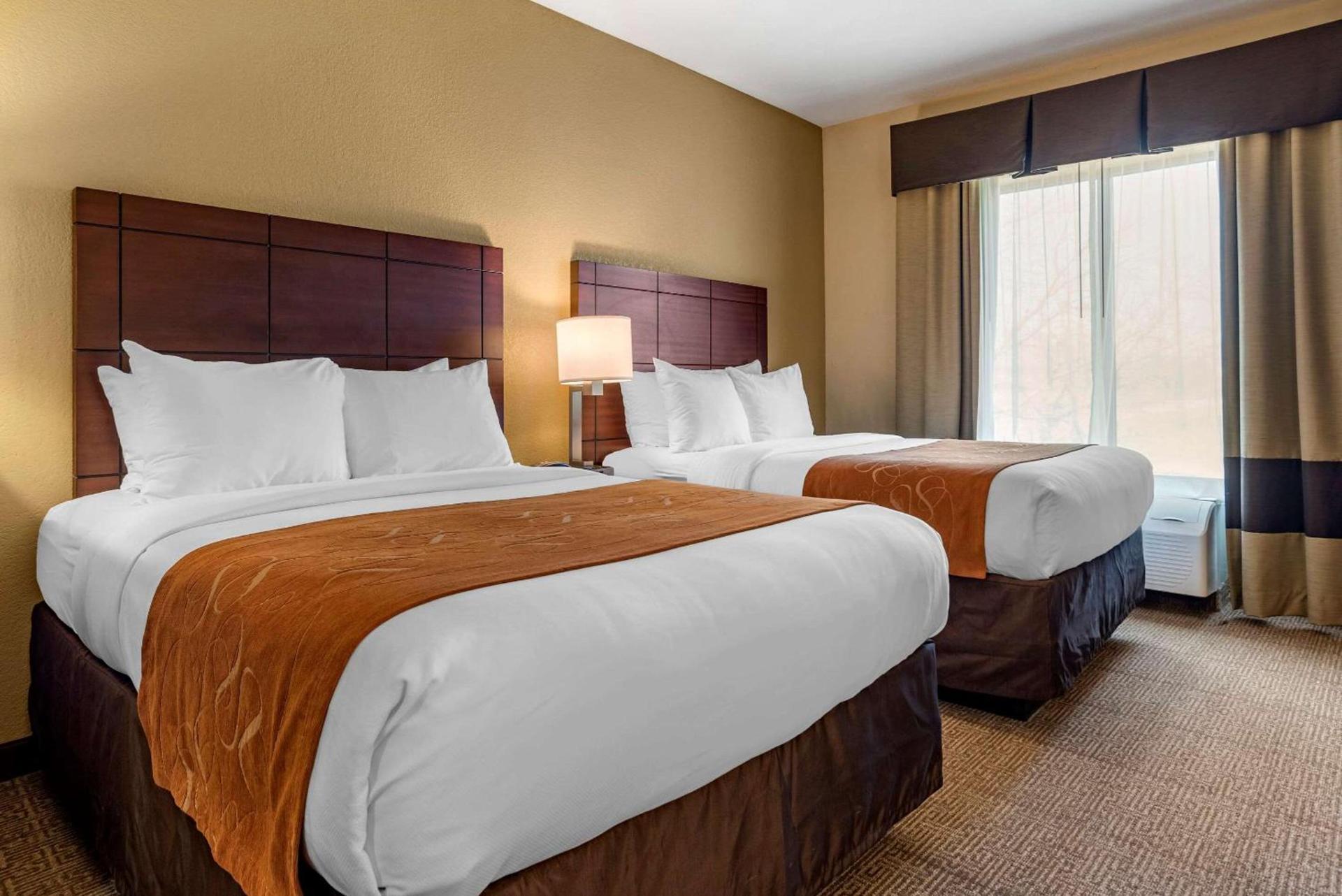 Comfort Suites Airport South photo 17
