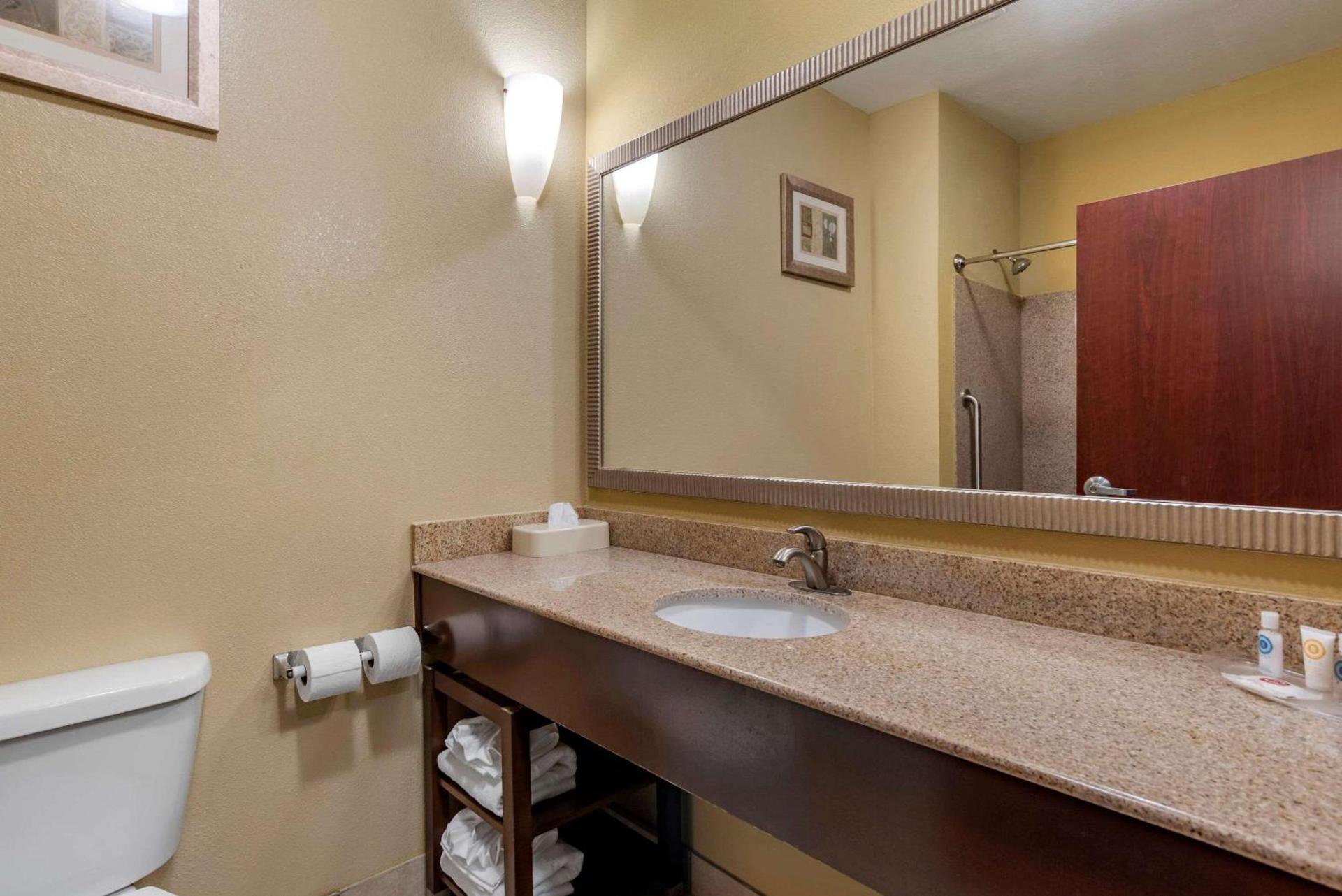 Comfort Suites Airport South photo 20