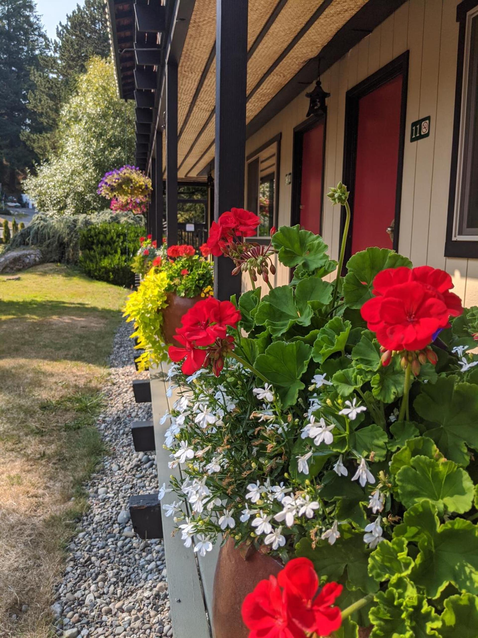 Discovery Inn photo 32