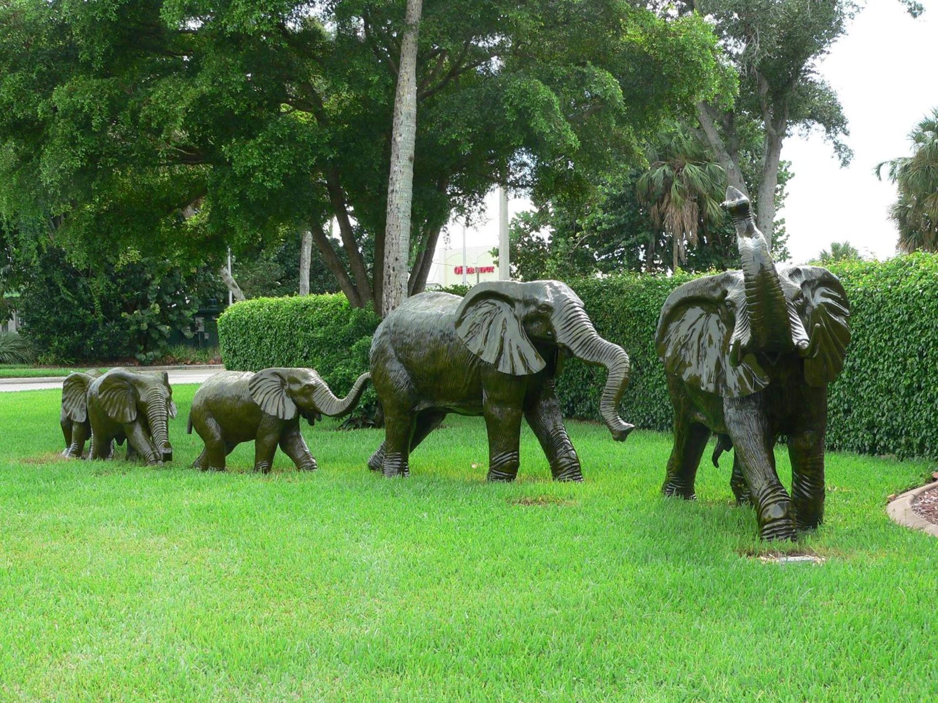 Best Western Naples Inn & Suites photo 37