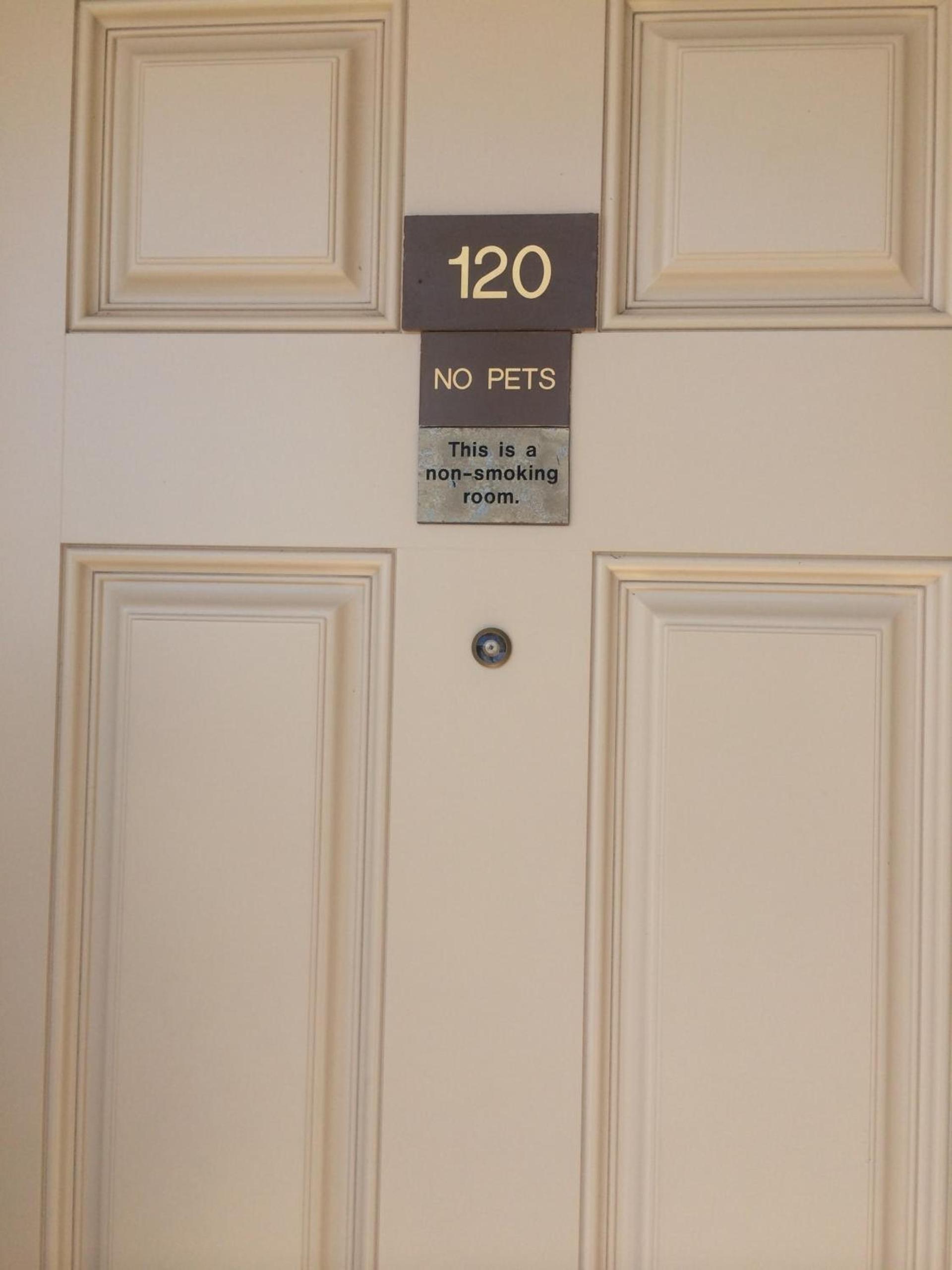 Island Inn photo 15