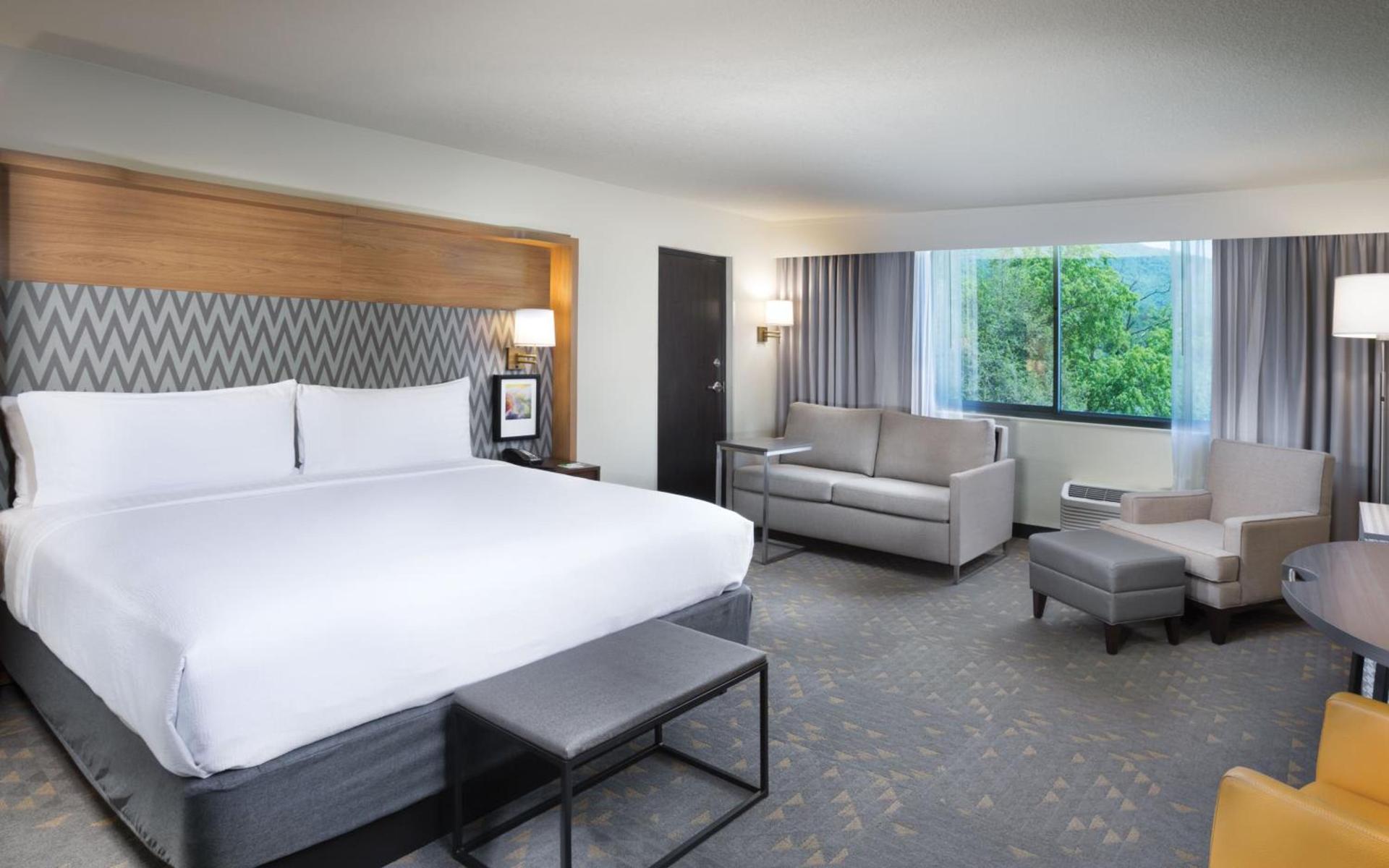 Holiday Inn Asheville East-Blue Ridge Pkwy by IHG photo 3