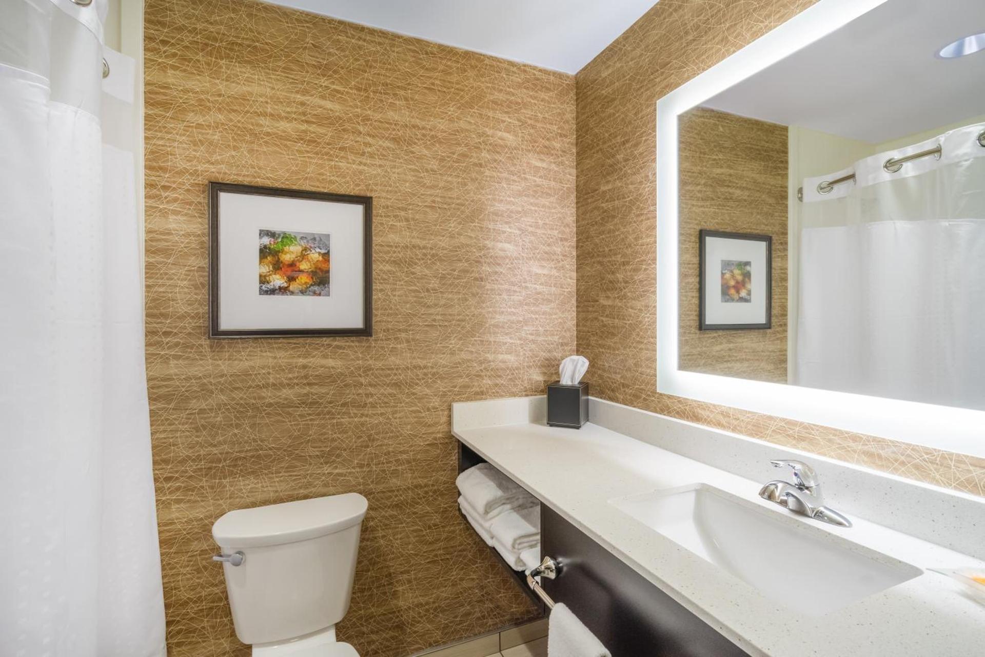 Holiday Inn - Terre Haute by IHG photo 7