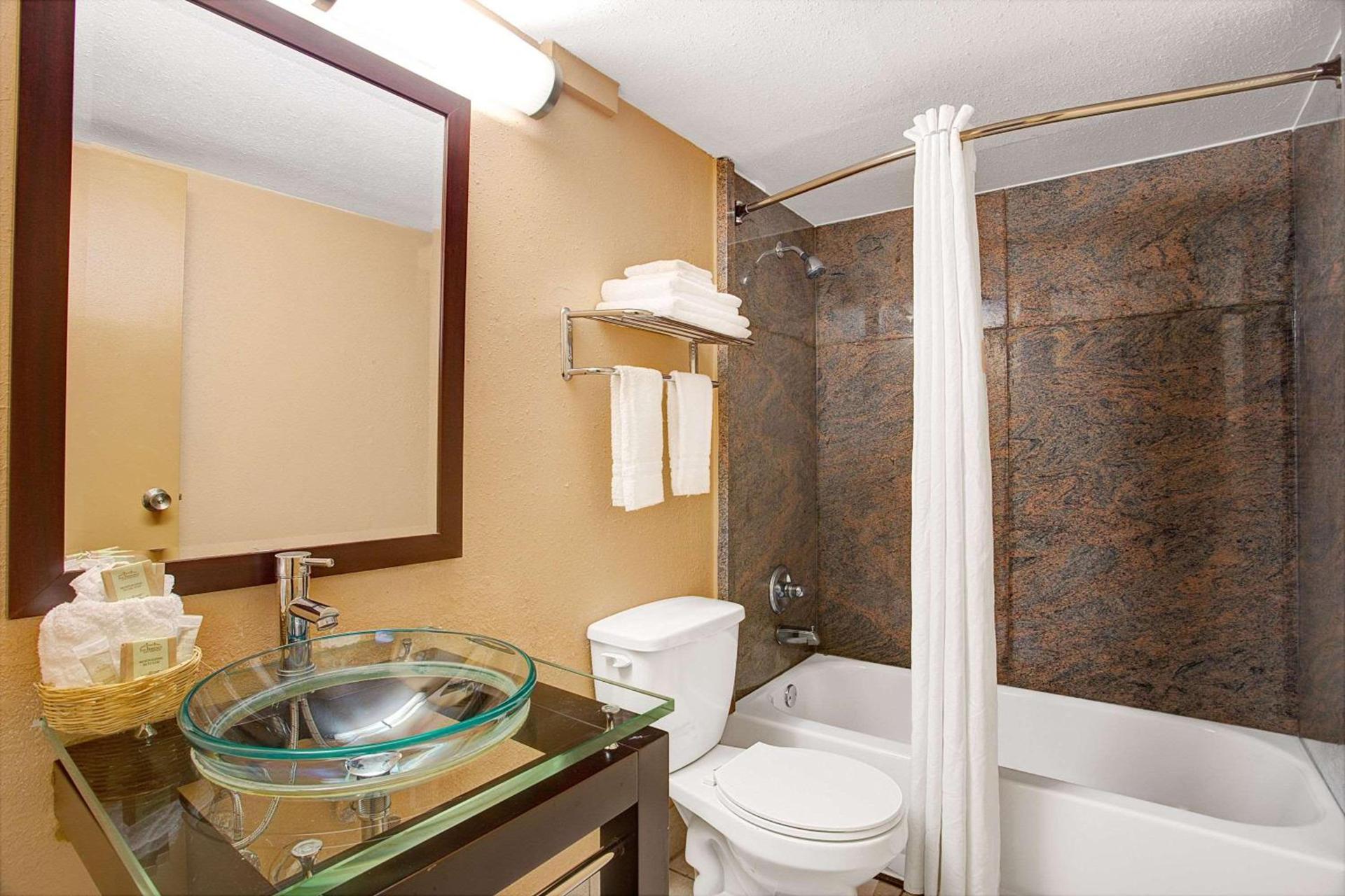 Super 8 by Wyndham Raleigh Downtown photo 10