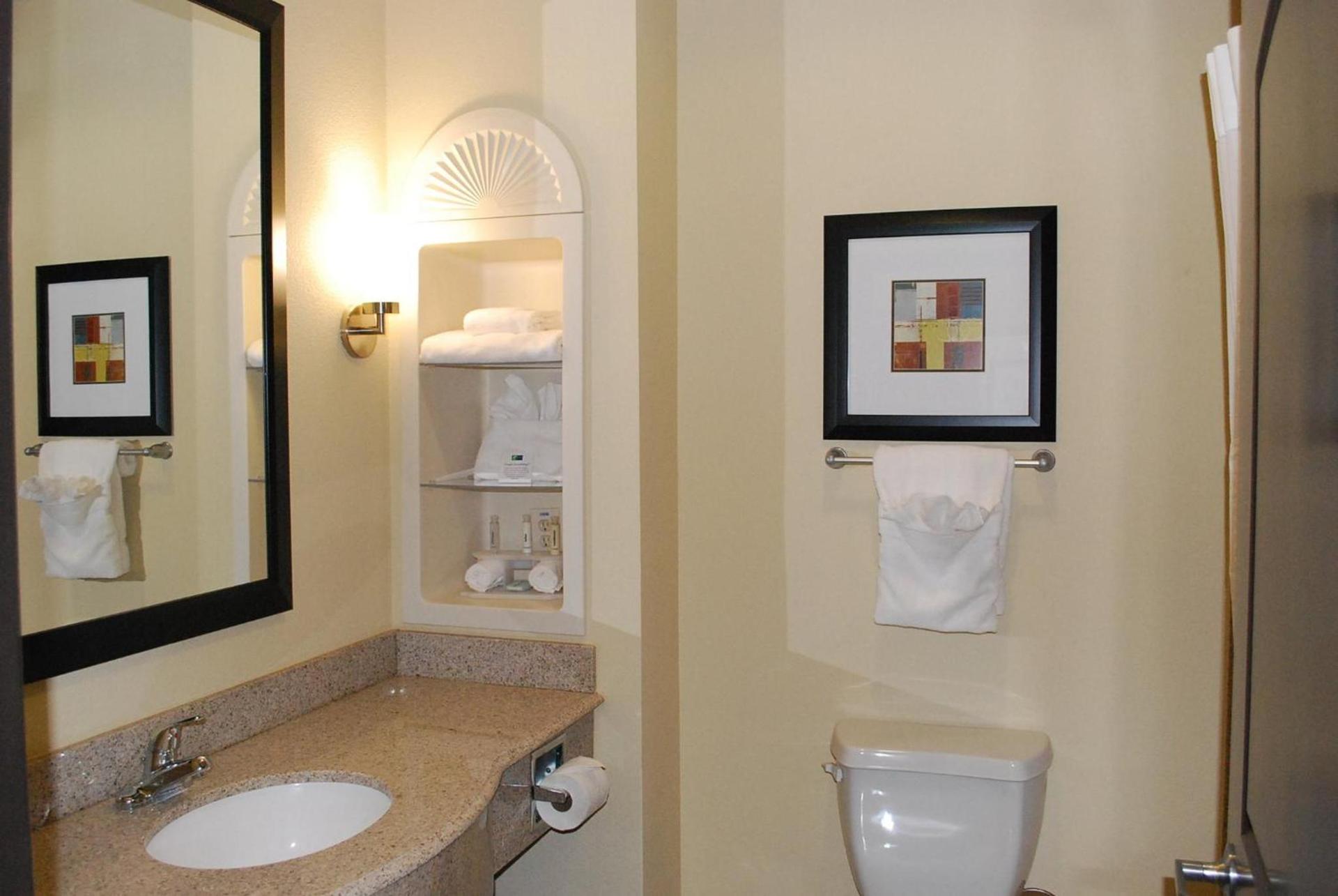 Holiday Inn Express & Suites Houston South - Near Pearland by IHG photo 35